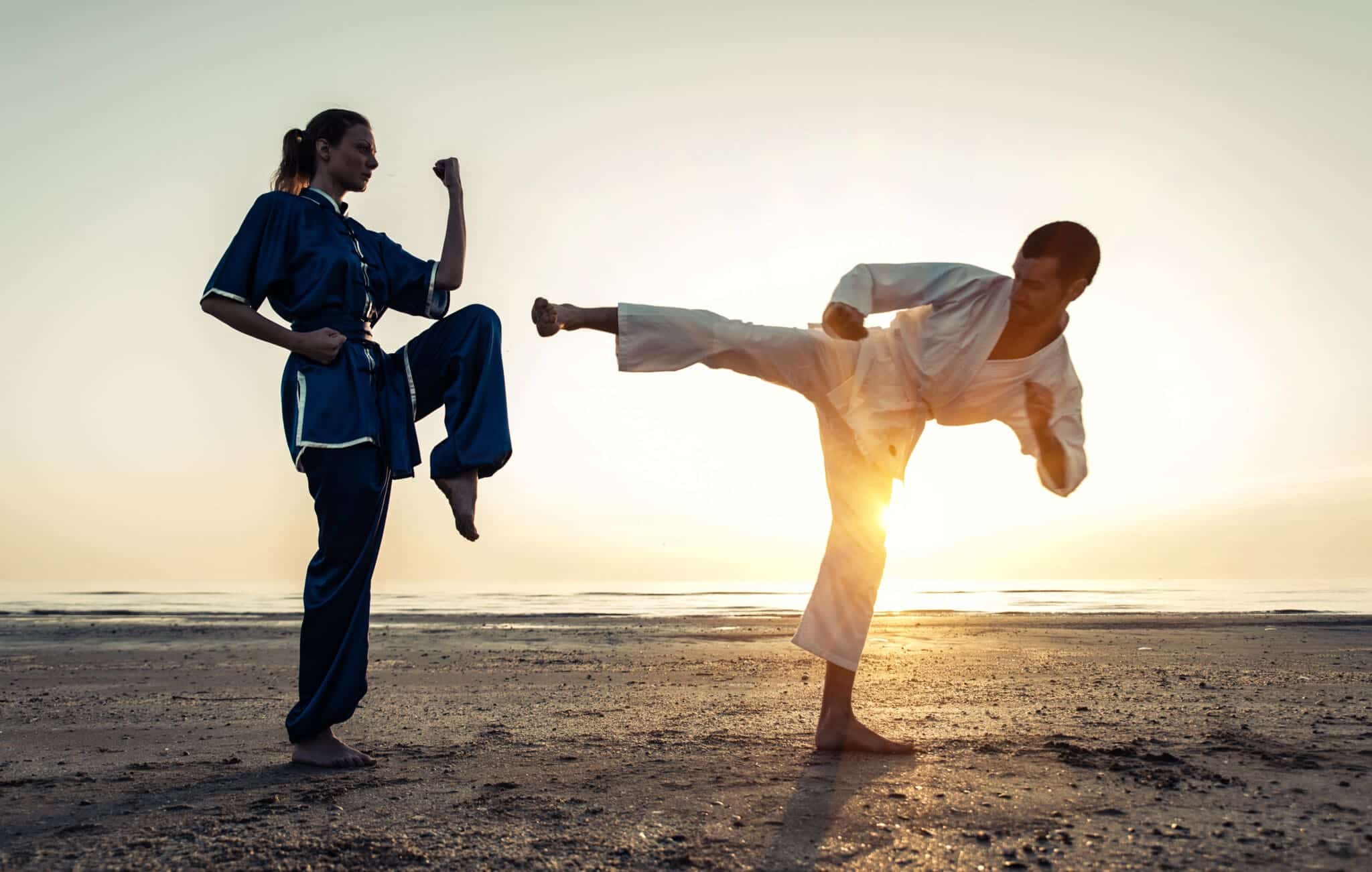 The Cultural Roots of Martial Arts: Philosophy, Practice, and Impact