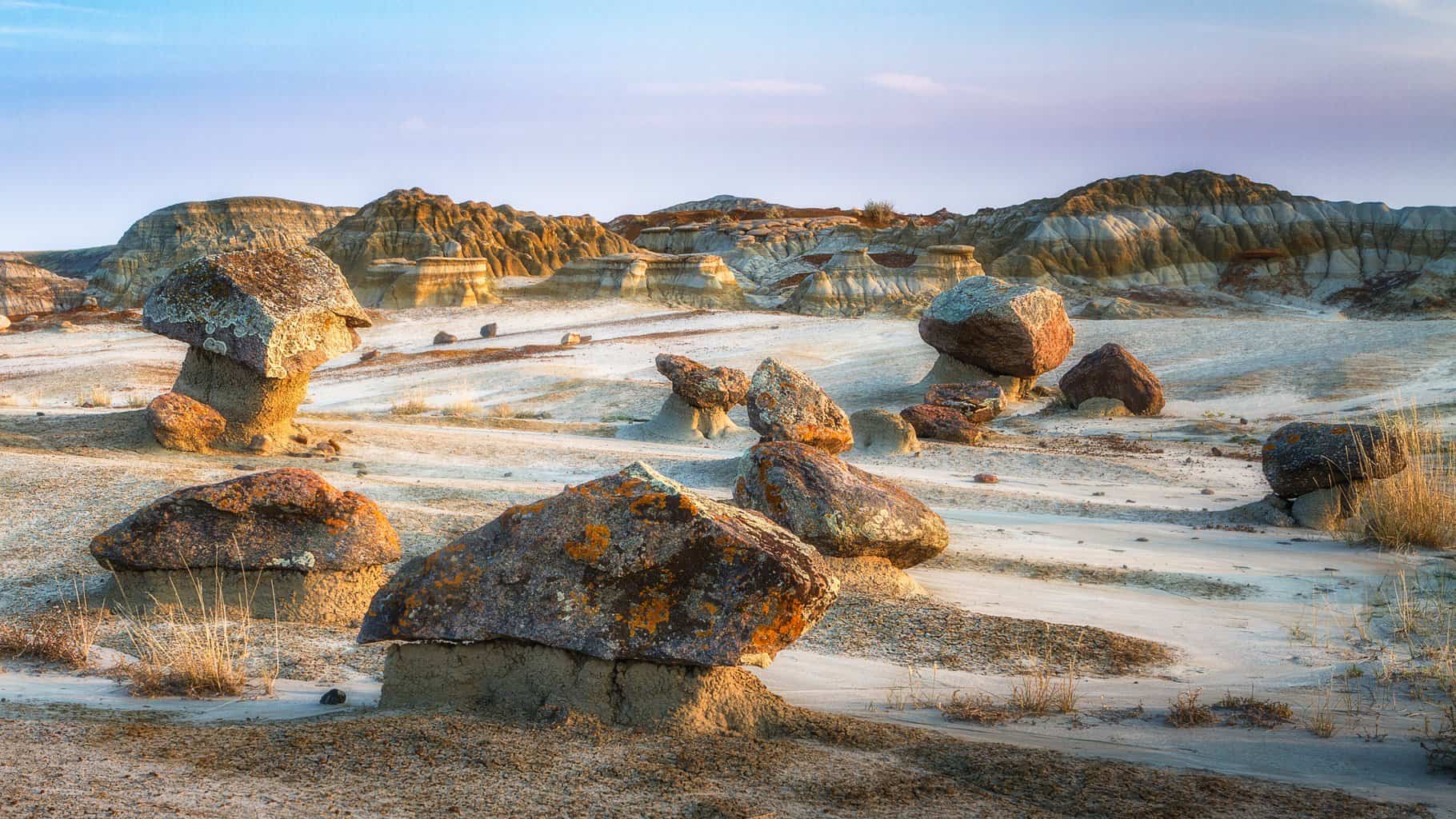Dinosaur Provincial Park 7