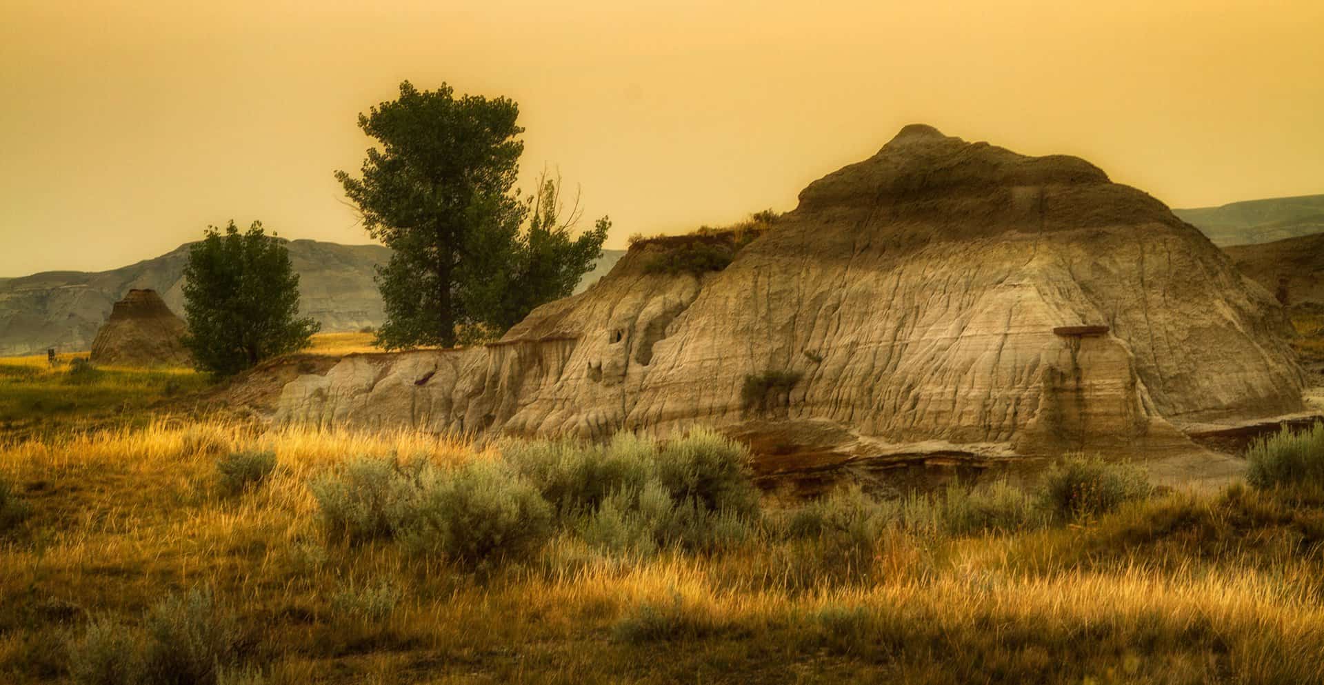 Dinosaur Provincial Park 8