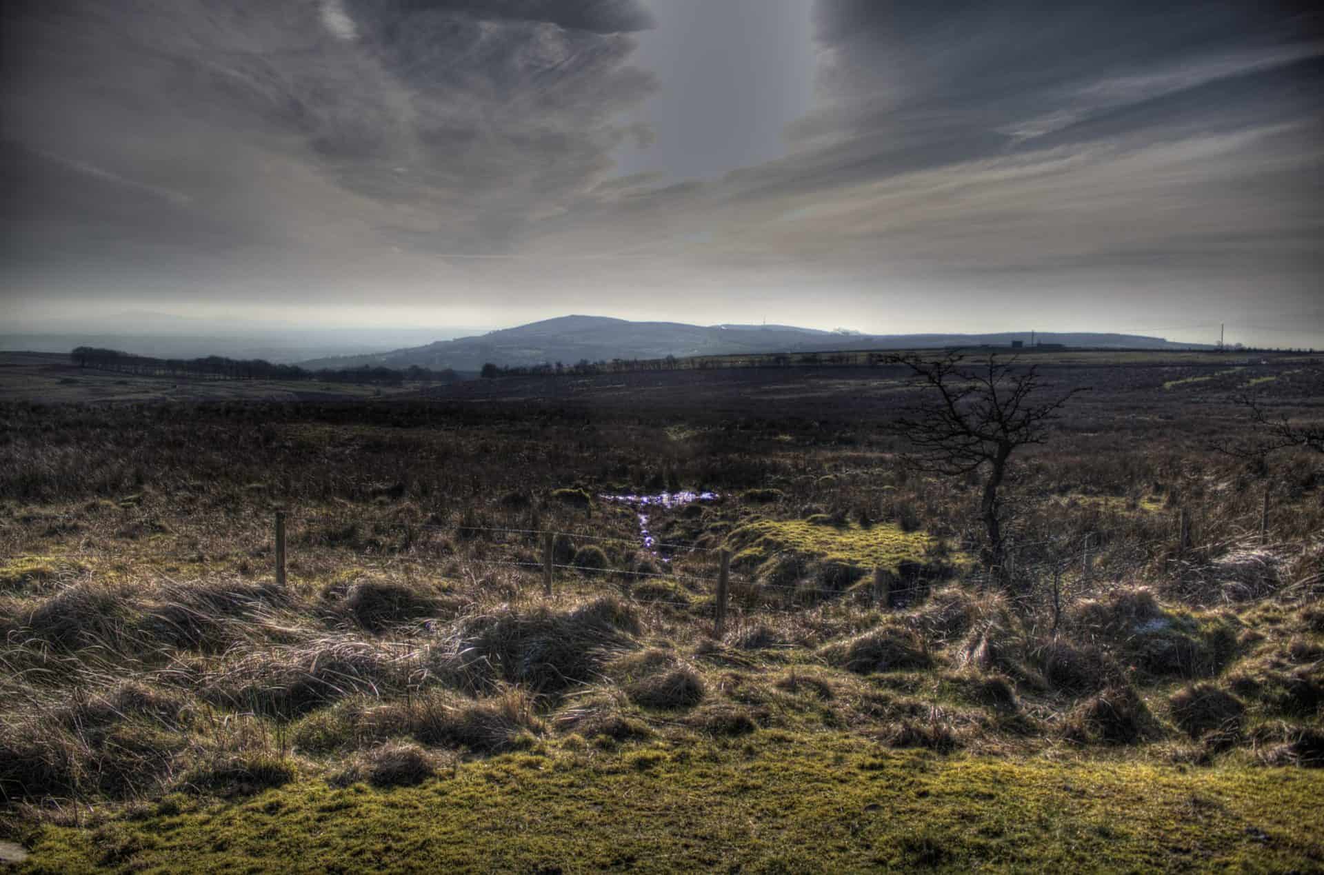 Divis-Mountain-Walk-Trail