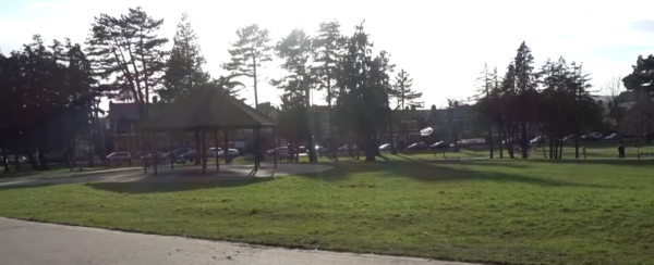 Drumglass Park: Belfast’s Quiet Urban Oasis