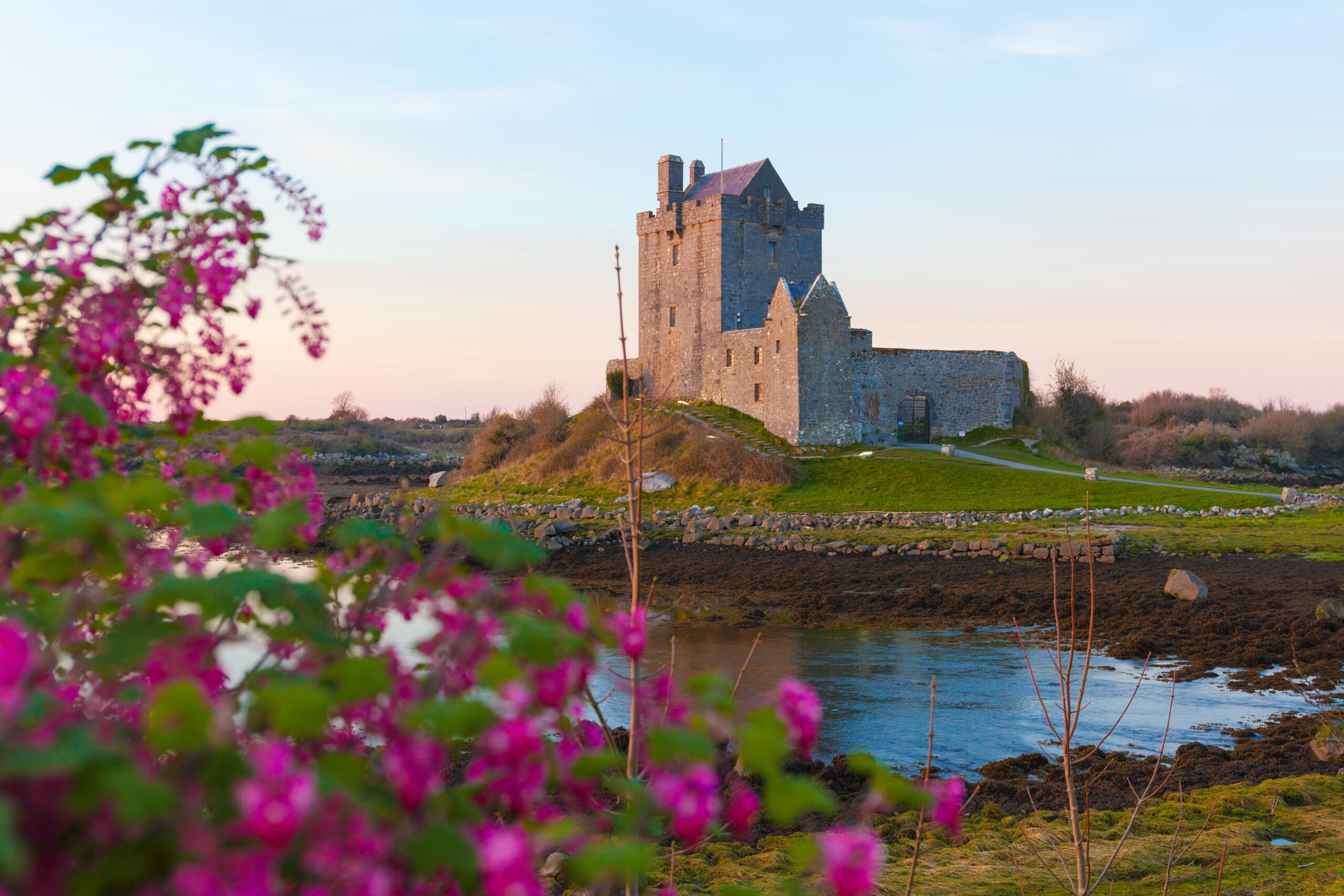 Dunguaire Castle