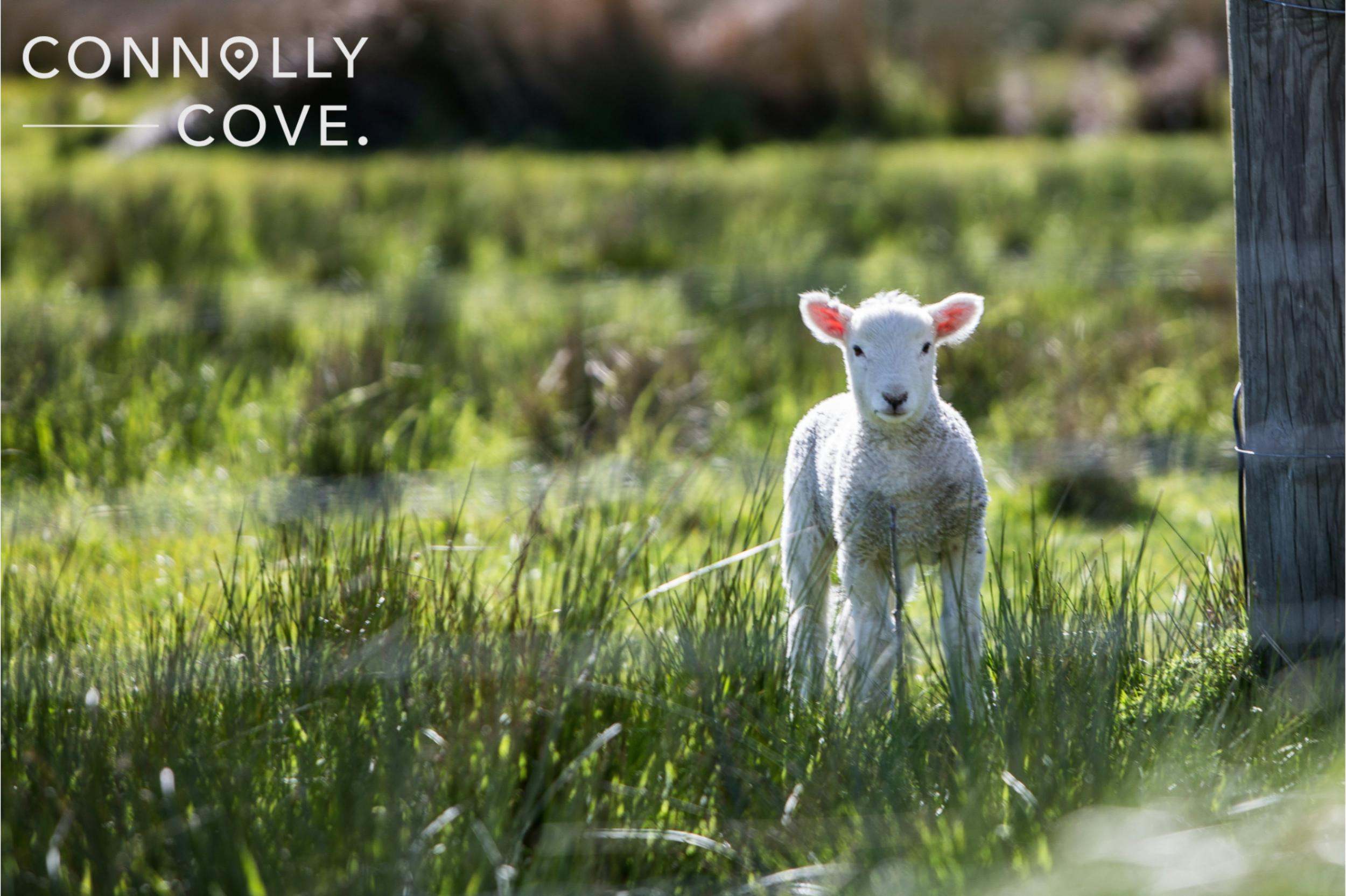 Celebrating Easter in Ireland: A Great Spring Getaway