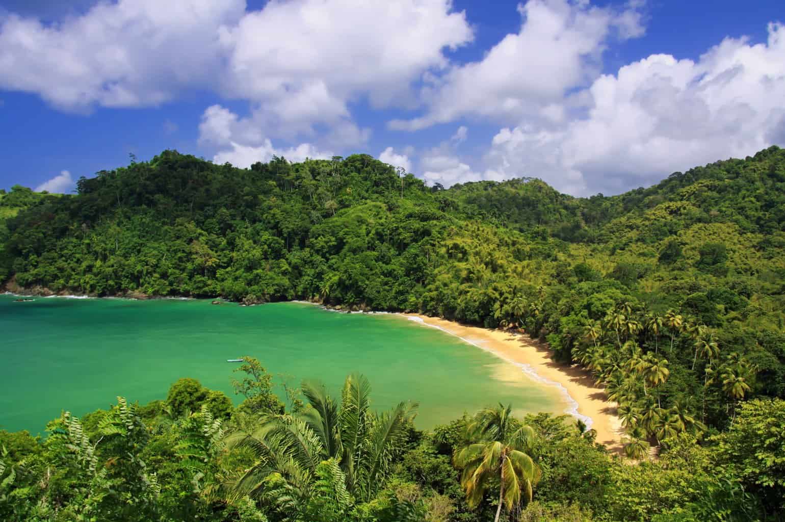 Best Ways to Explore the Beauty of Trinidad and Tobago