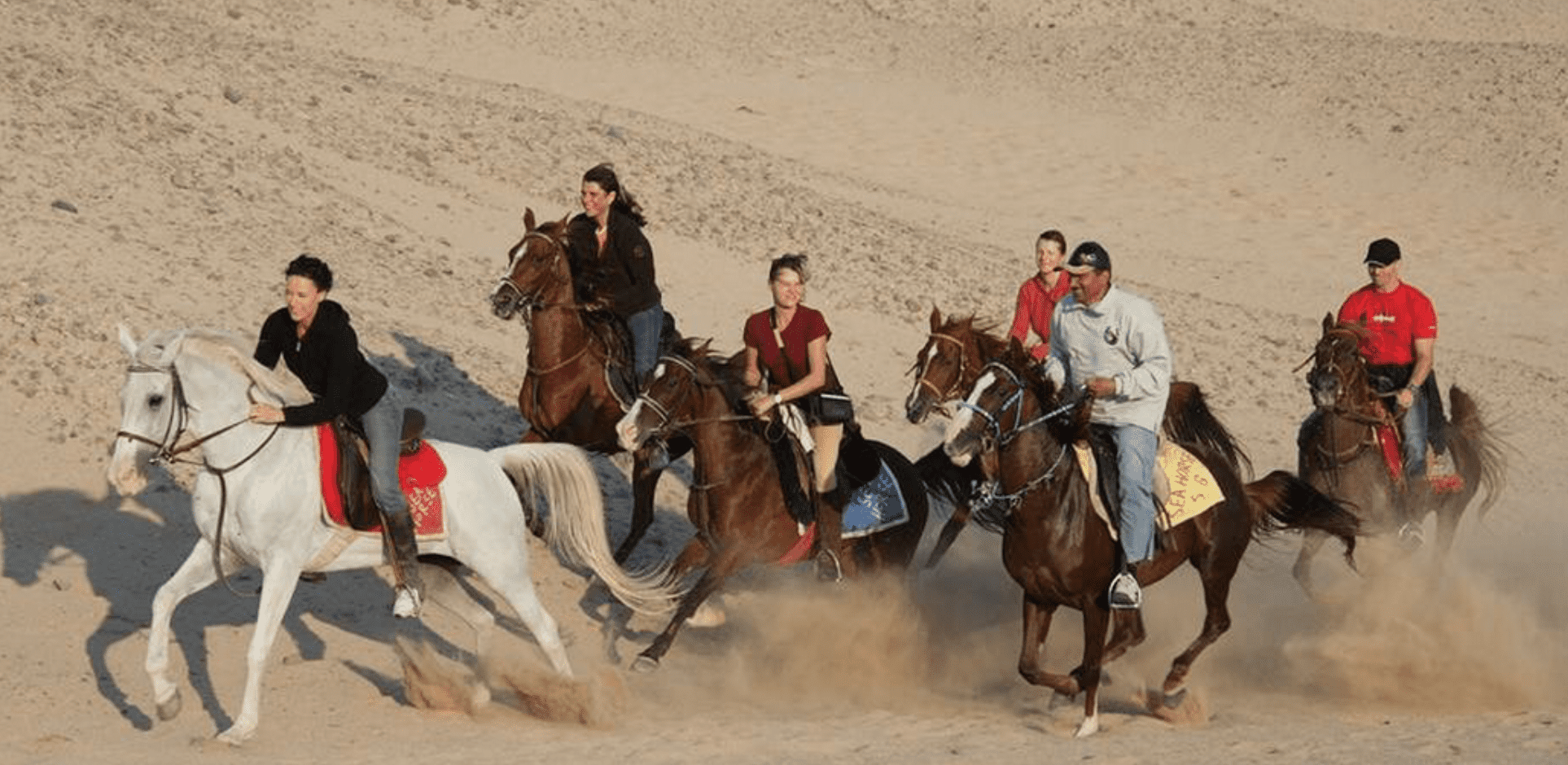 A group of people ride horses through the sand of Sahl Hashish