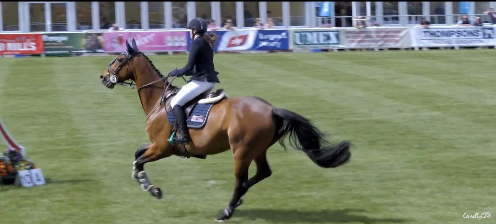 Horse show in the Balmoral Show Belfast