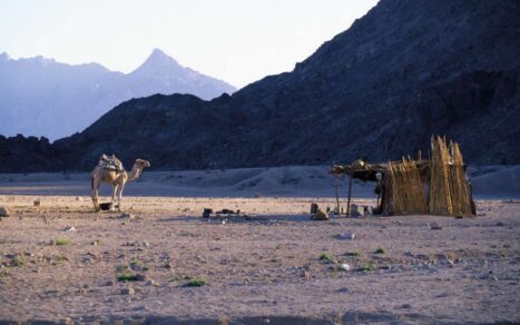 20 Things to Do in Hurghada