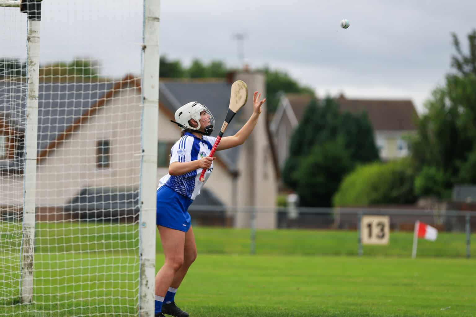 Hurling