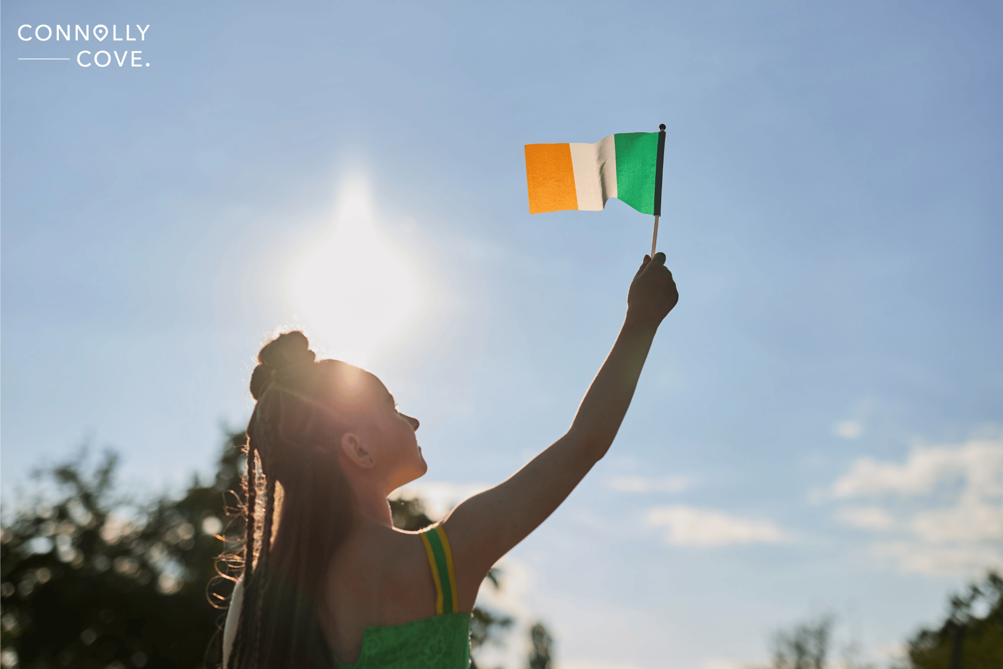 Irish Flag