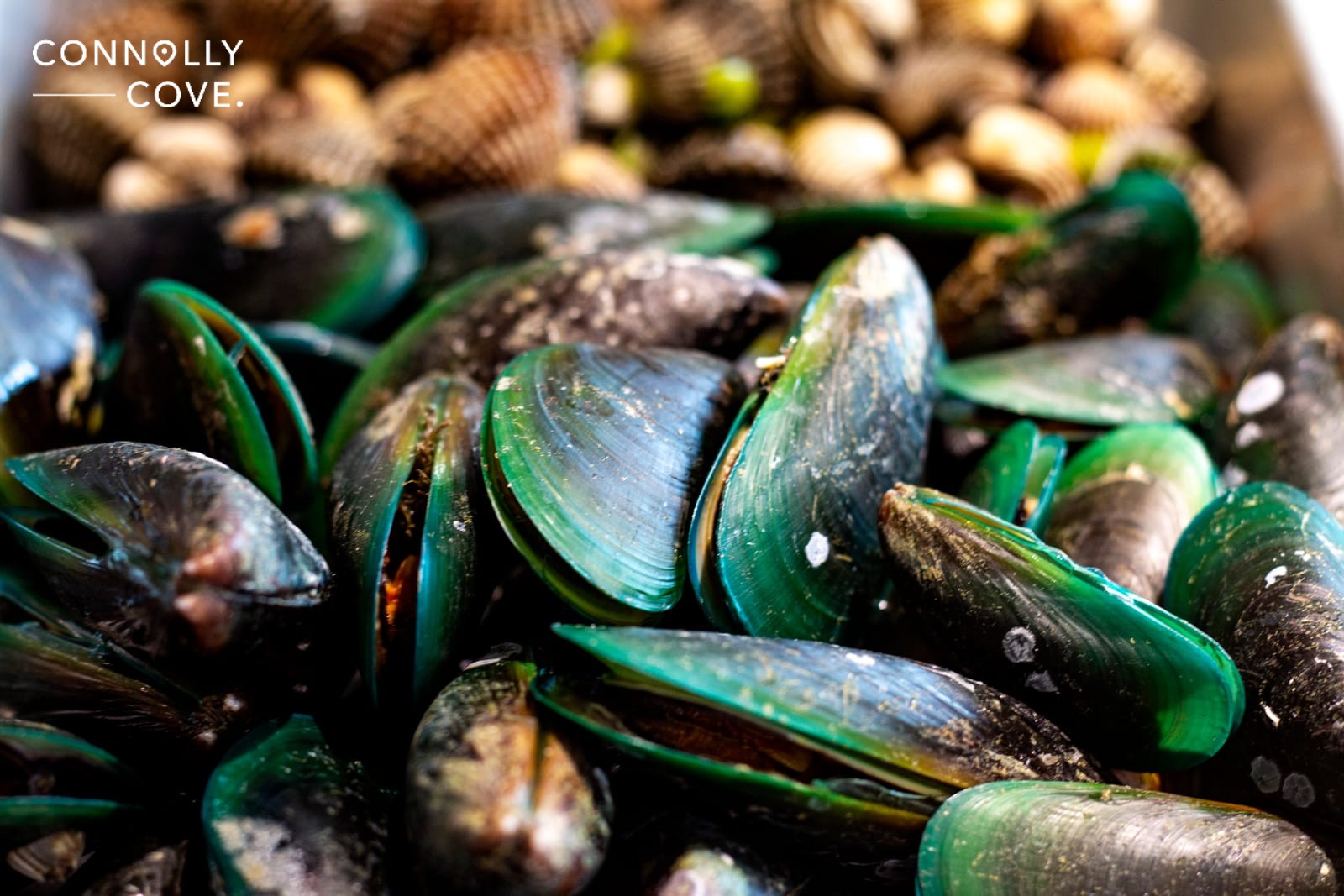 Irish Food - Mussels and Cockles