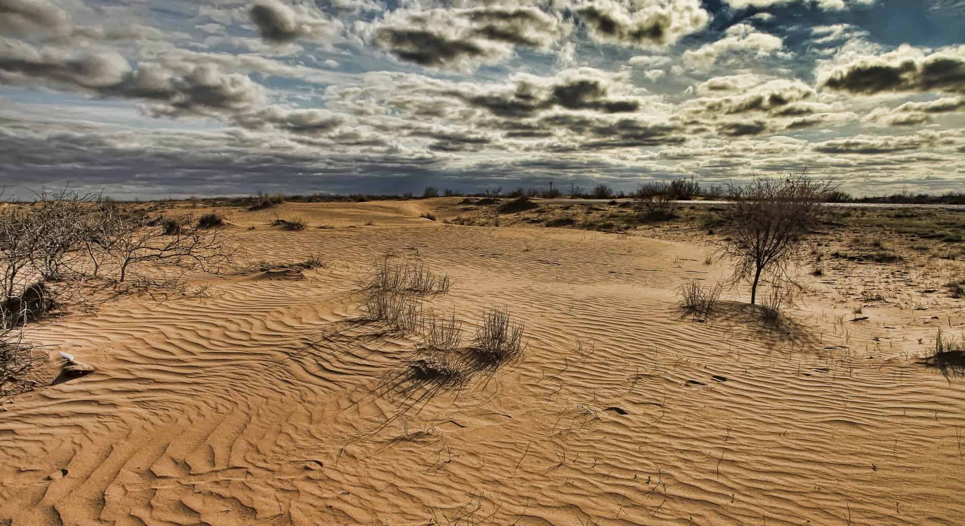 Turkmenistan - Karakum Desert