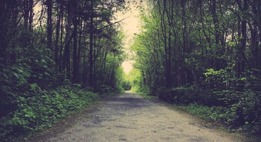 Lady Gregory: An Often Overlooked Author