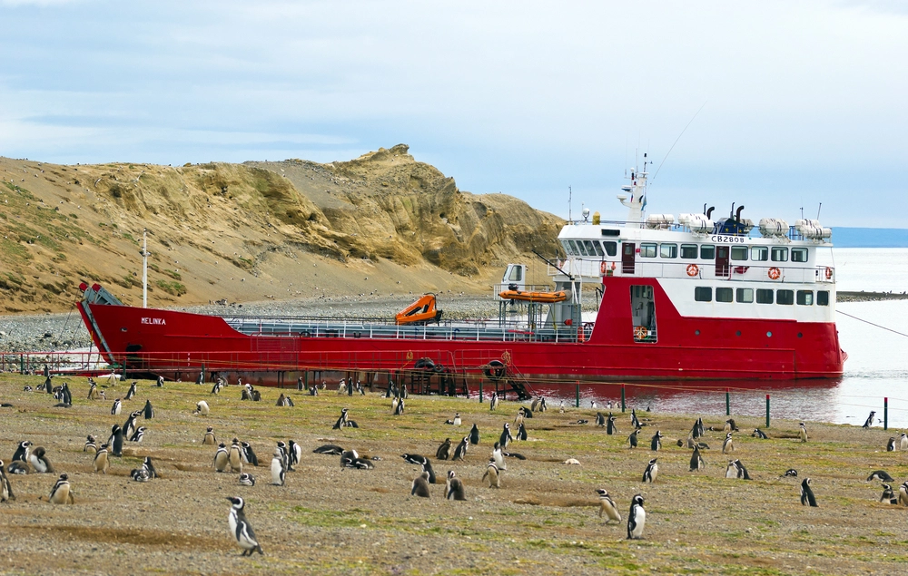 Los Pinguinos Natural Monument in Chile