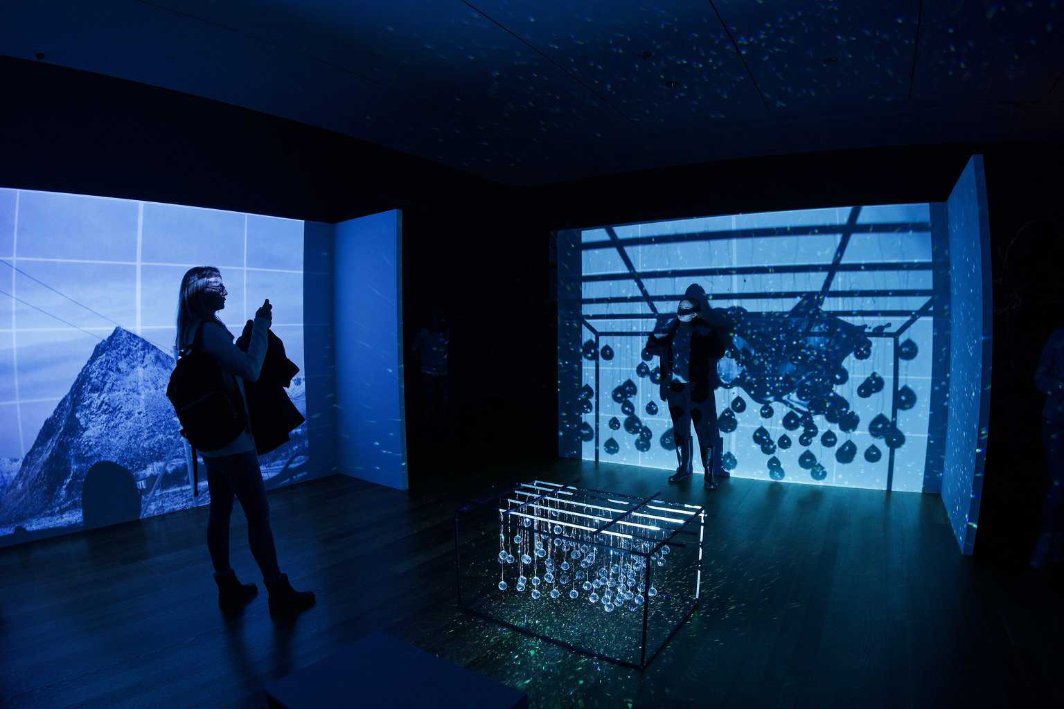 Museum of Jurassic Technology 1