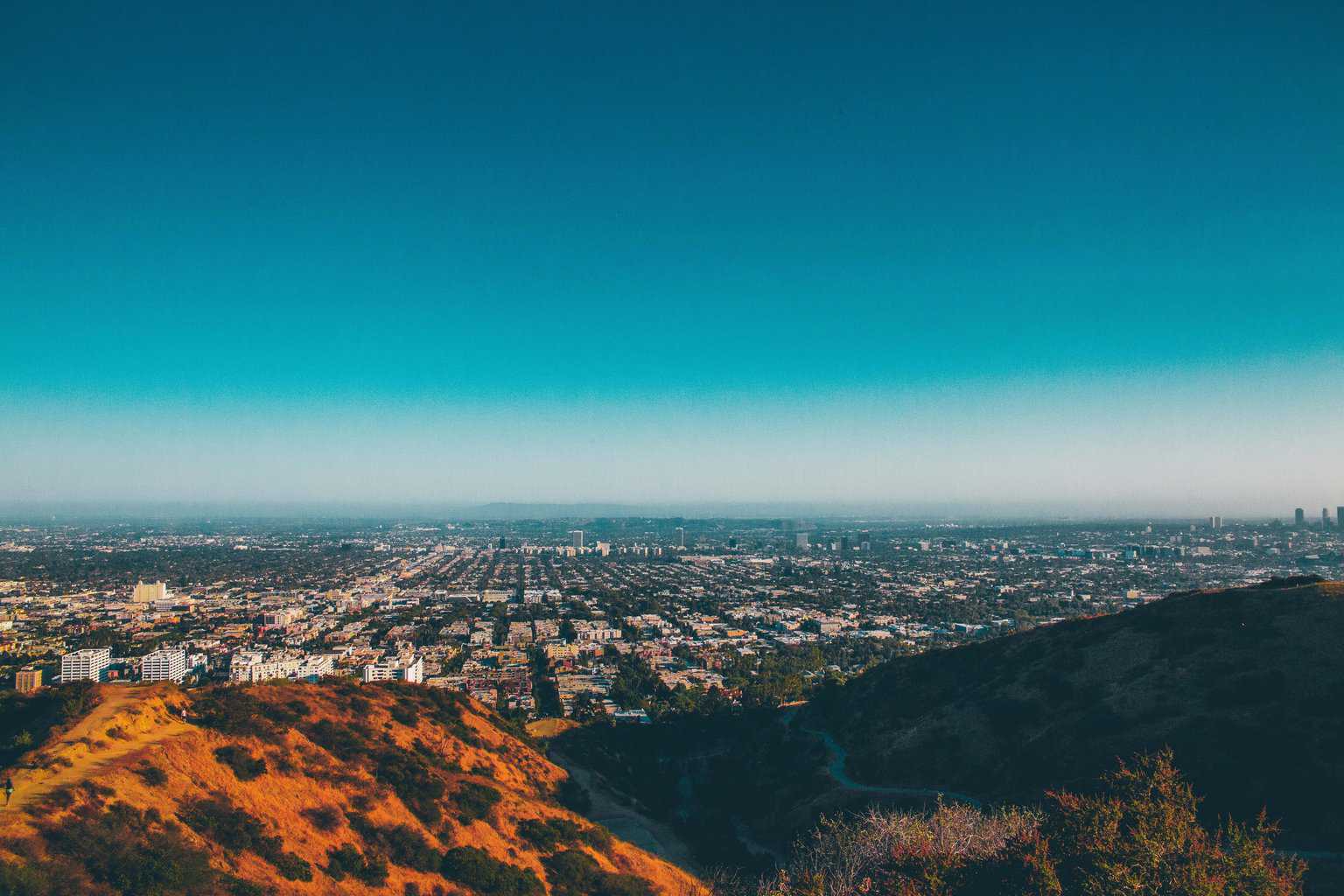 Museum of Jurassic Technology 11