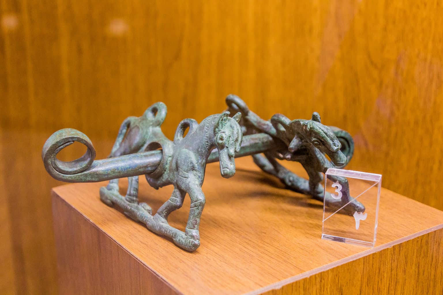 Museum of Jurassic Technology 4