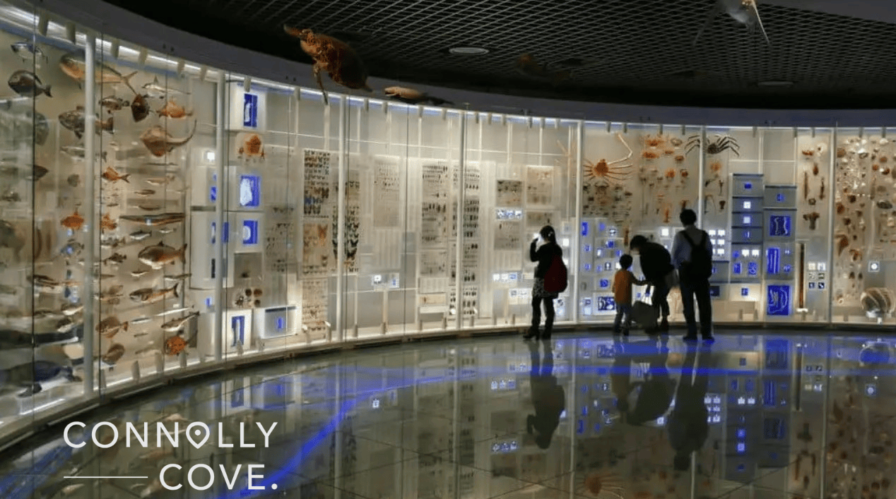 National Museum in Tokyo Japan