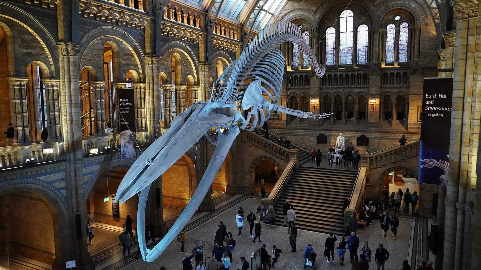 Natural History Museum, London