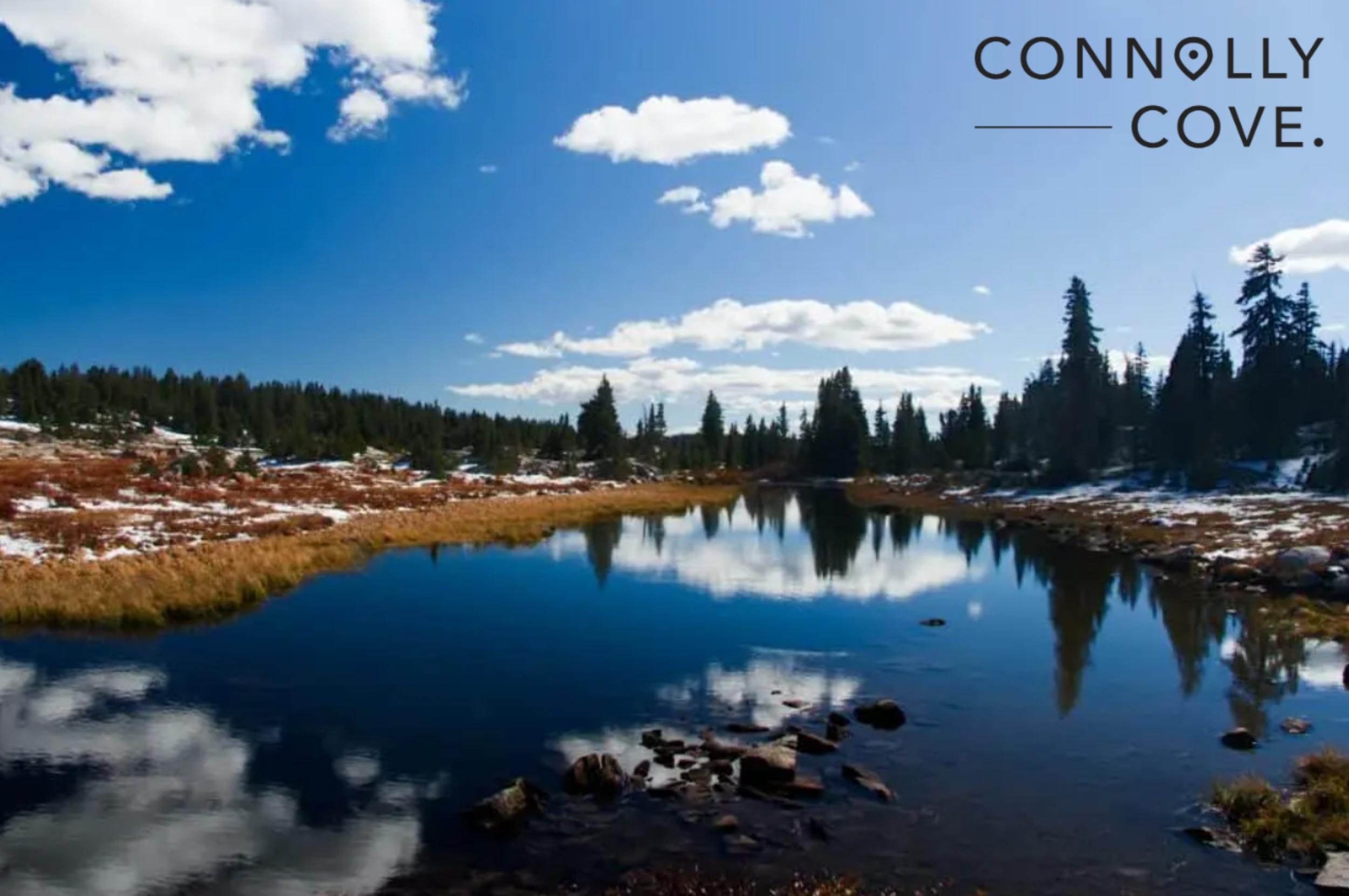 Yellowstone National Park is one of the most popular destinations in the USA.