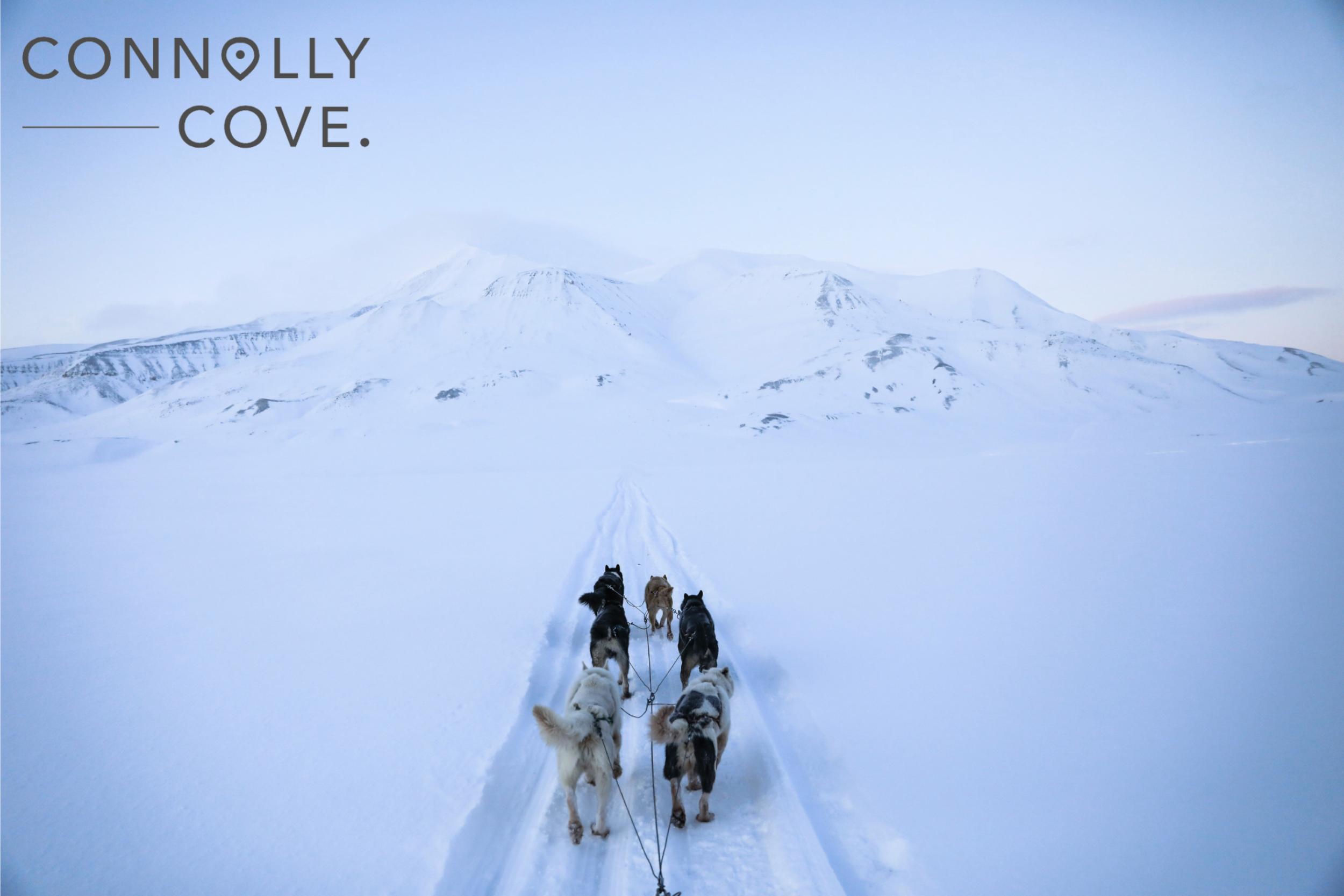 Dog sledding is a historic part of Greenland's culture.