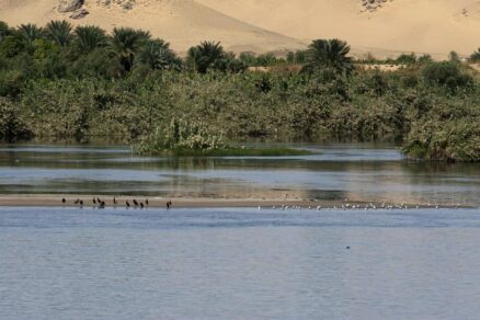 Oases in Egypt: 5 Incredible Oases to Visit