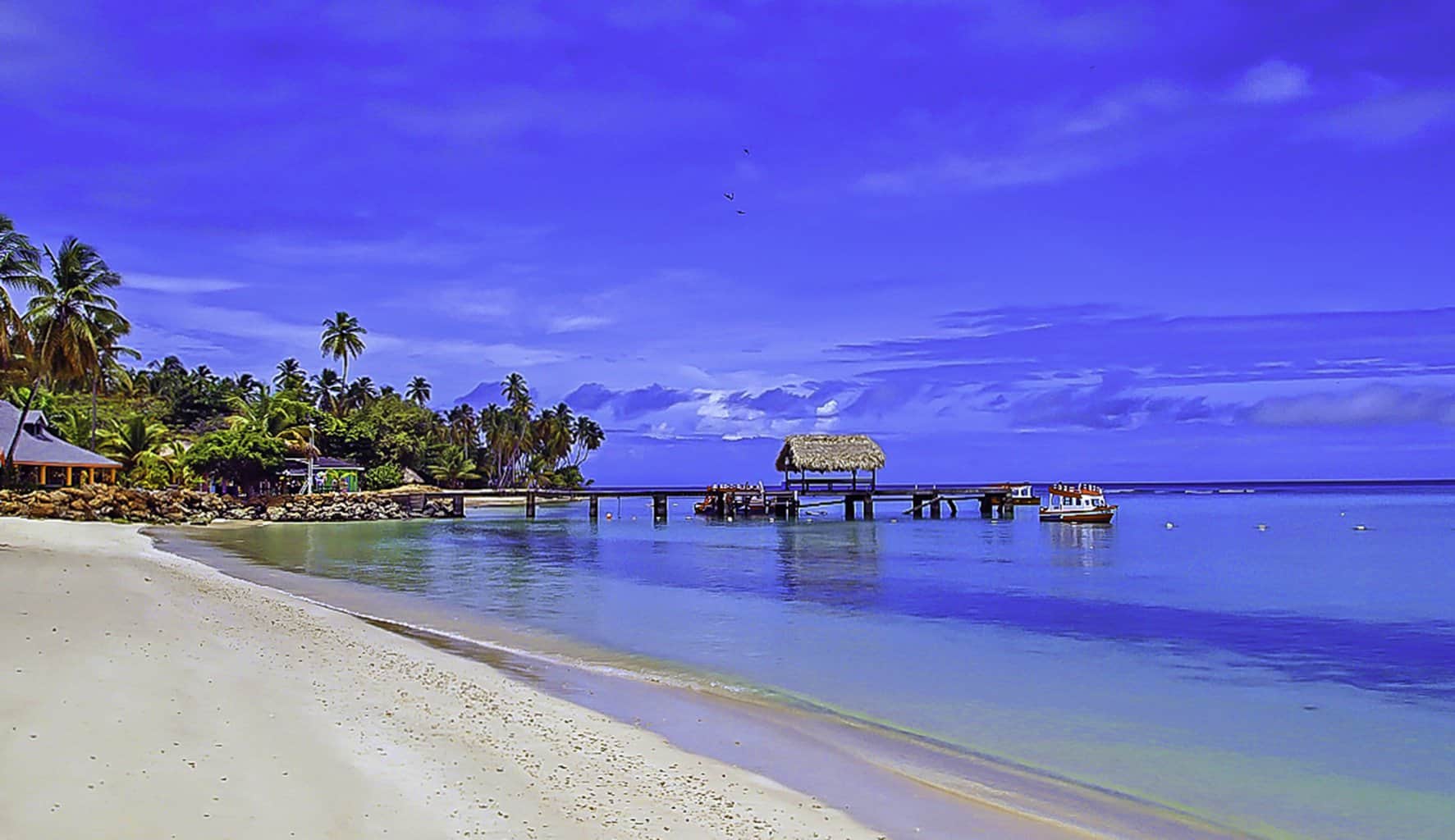 Best Ways to Explore the Beauty of Trinidad and Tobago