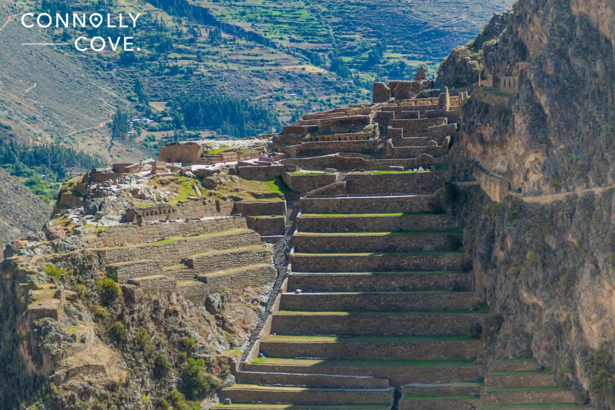 Popular Travel Reality Shows