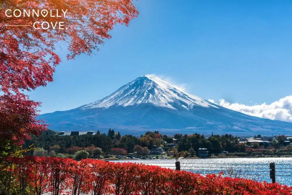 Sightseeing Attractions