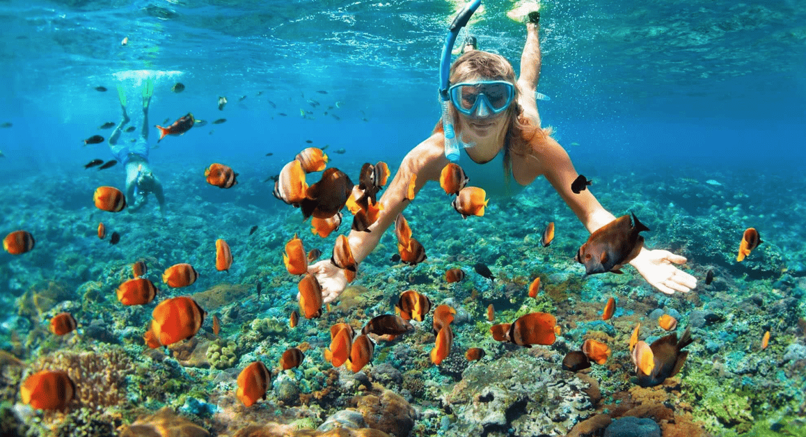 A women snorkel's among a sea of fish in Sahl Hashish