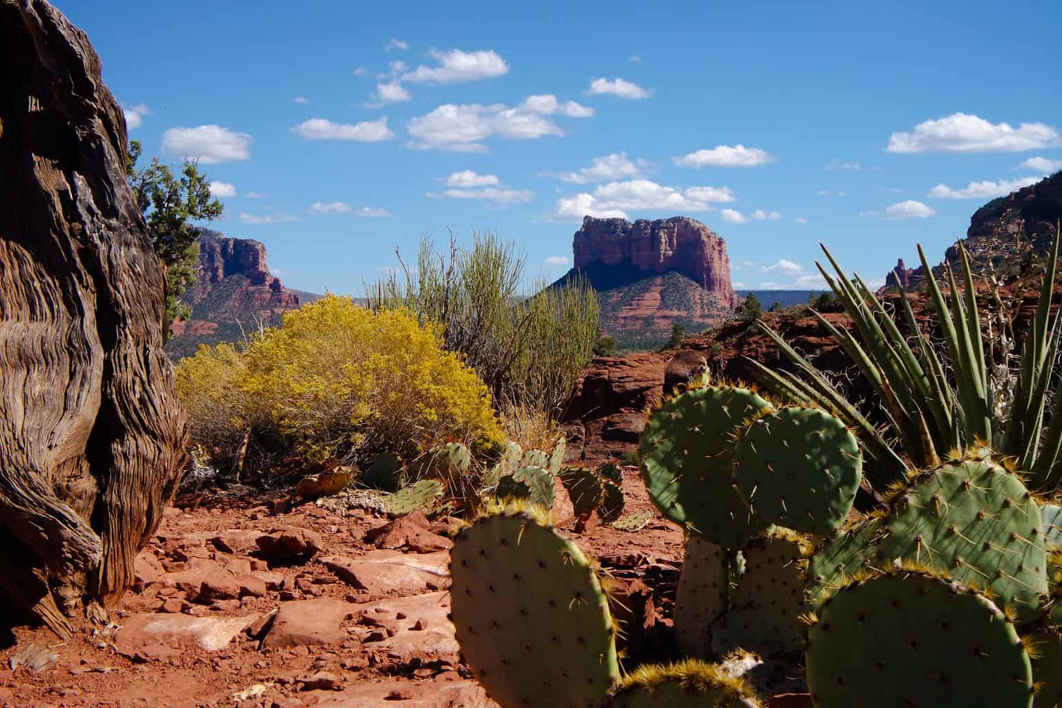 States in America AZ 2