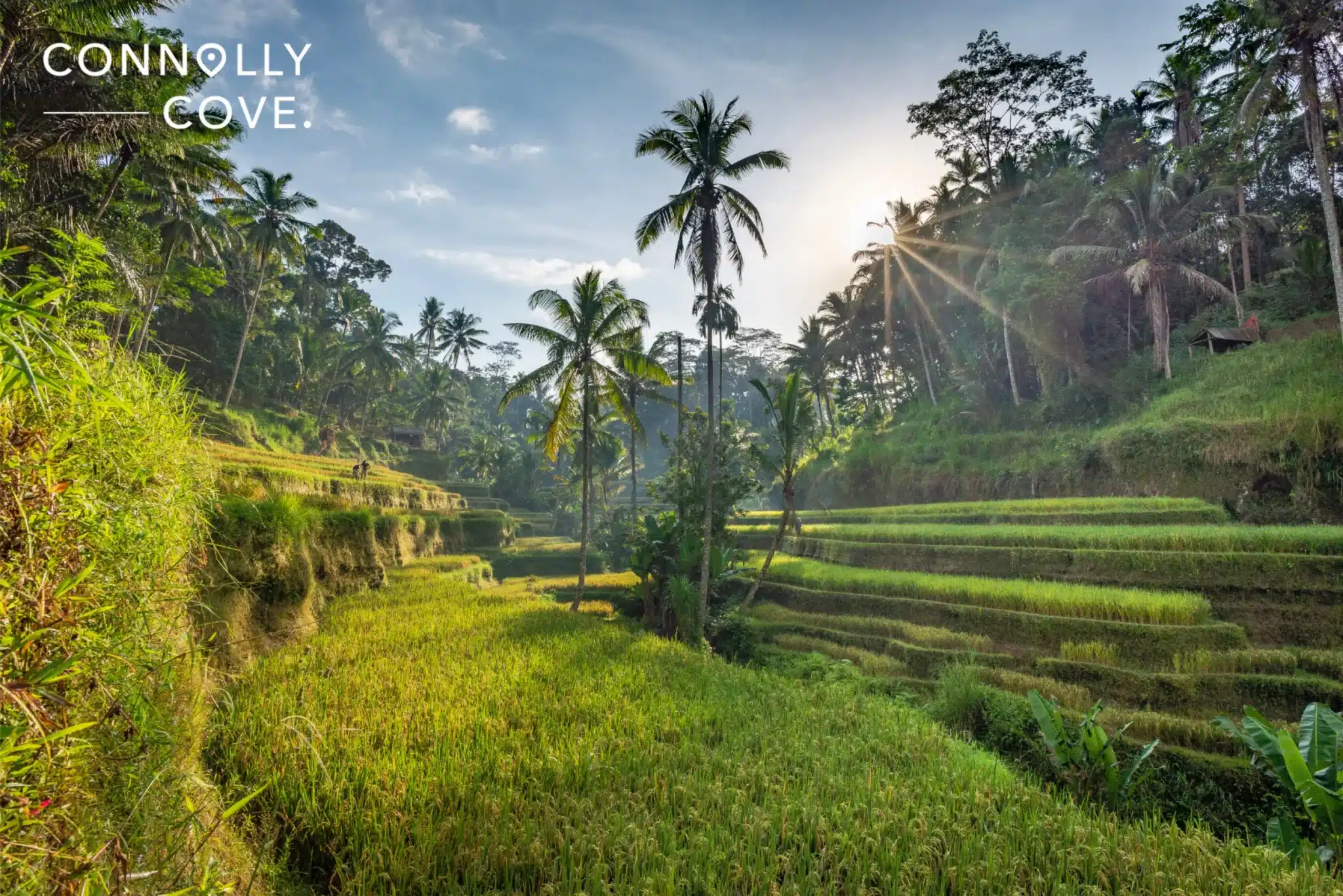 Best Destinations to Visit in Bali Indonesia