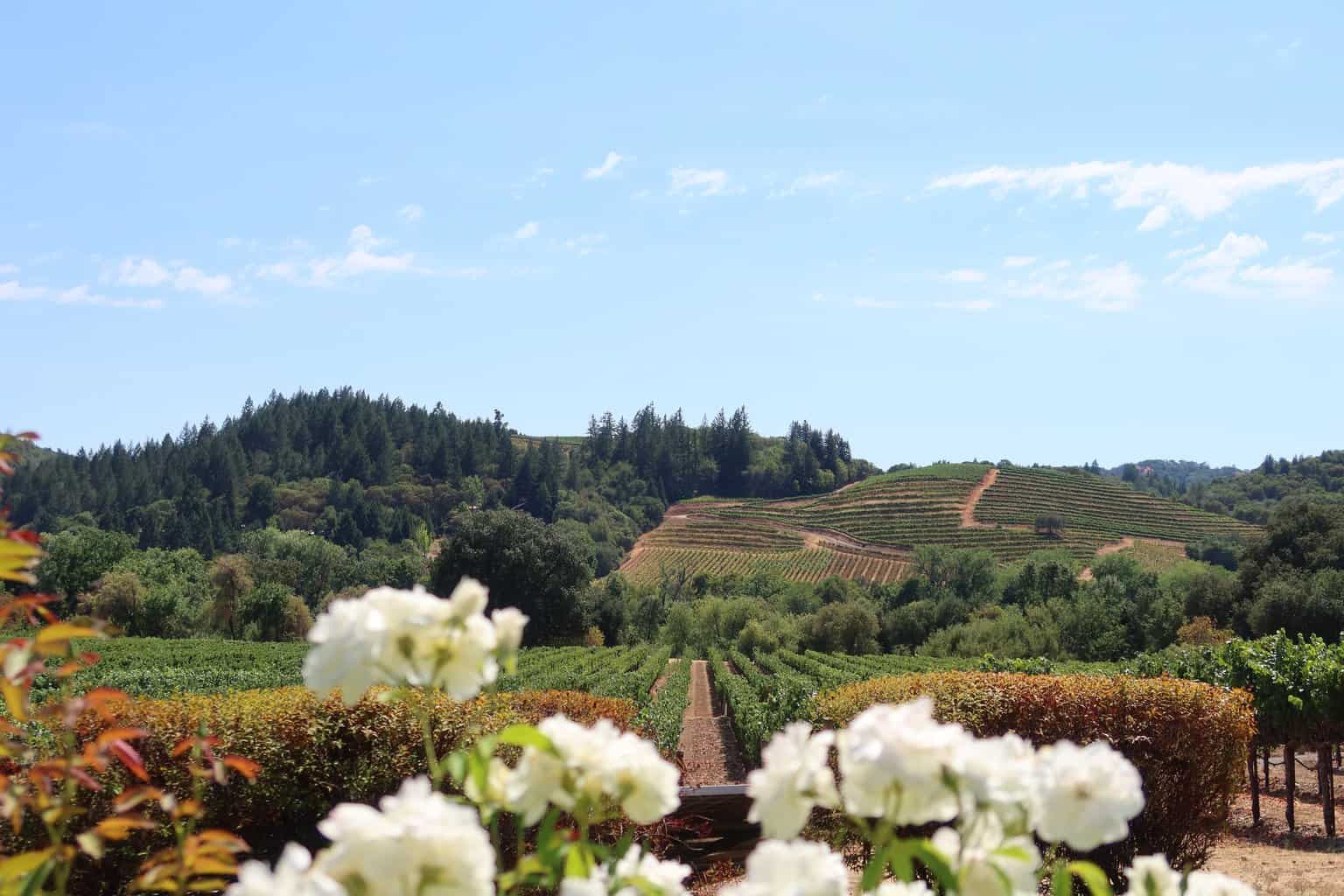 Things to do in California 13