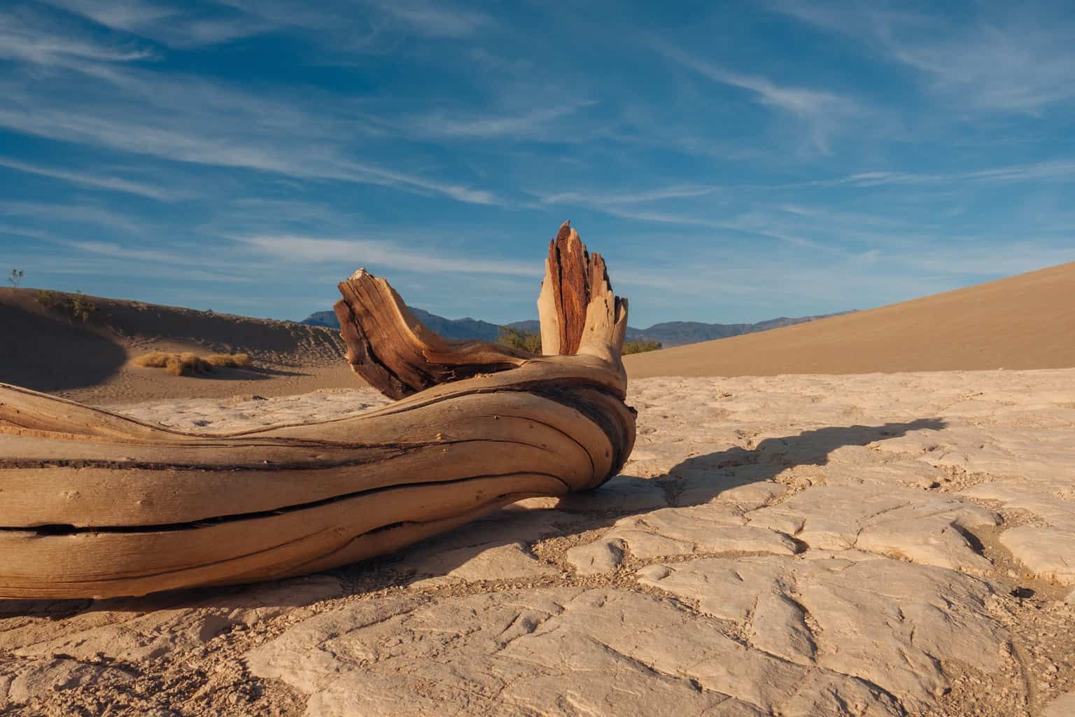 Things to do in California 8