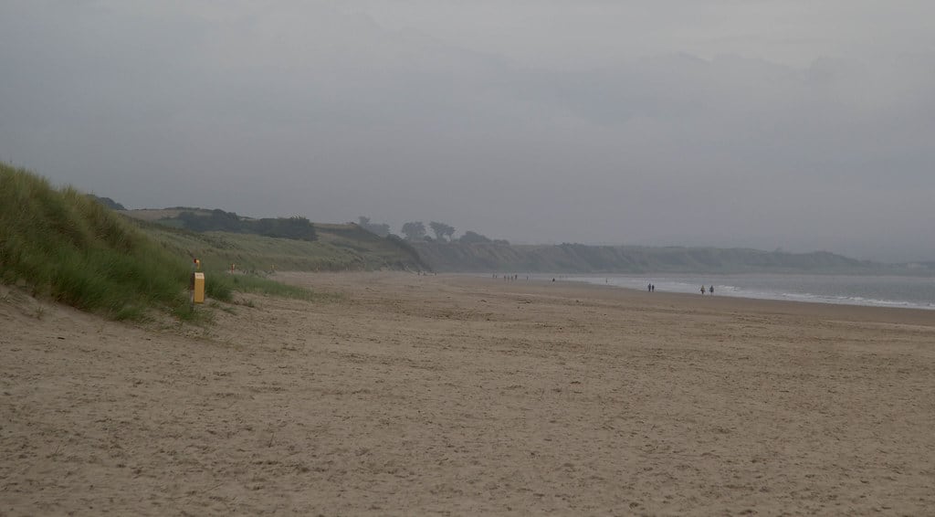 Things to do in Wexford