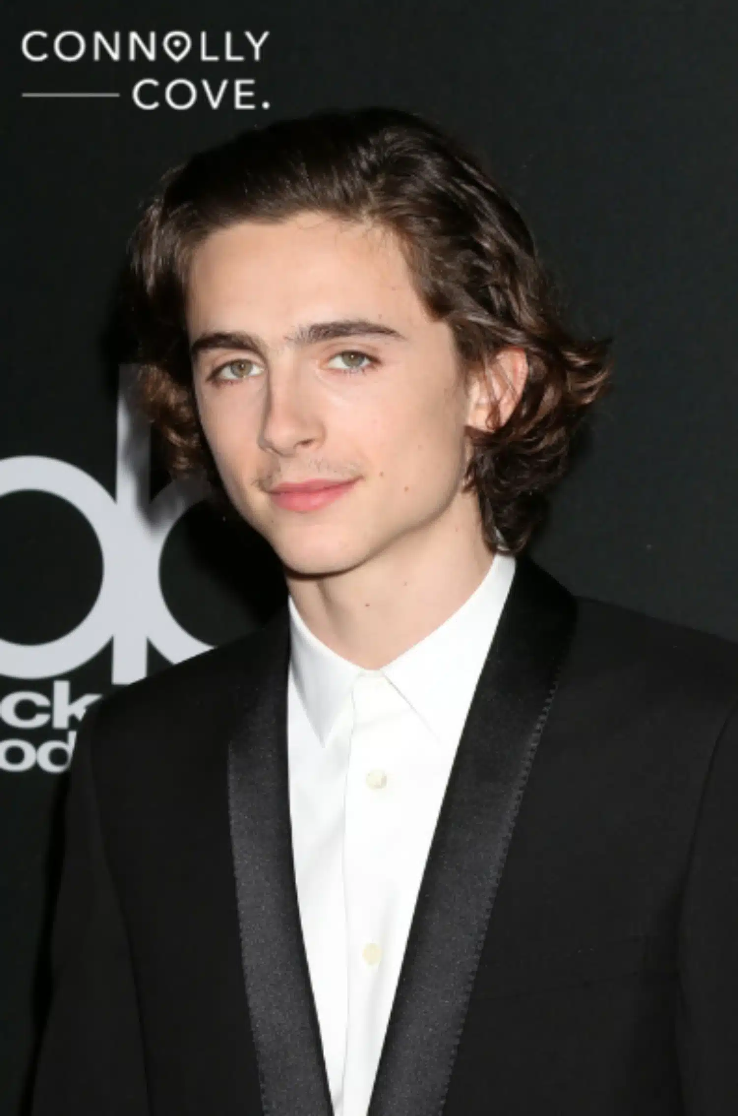 Timothee Chalamet Dune Part Two