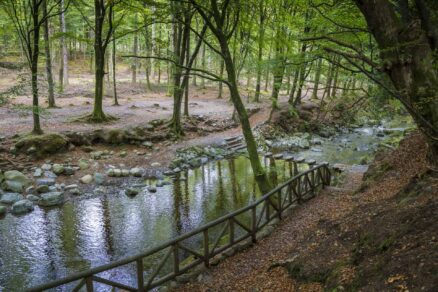 The Beautiful Tollymore Forest Park, County Down