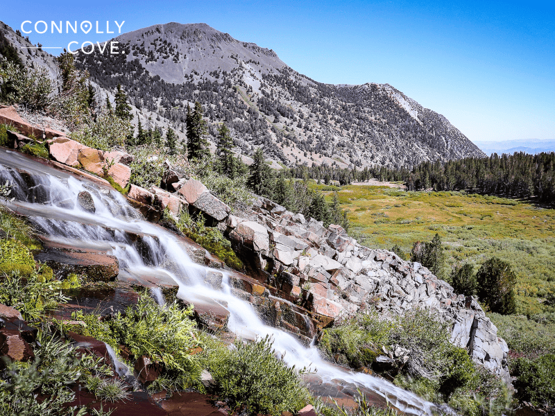 USA Travel Statistics | Mount Rose