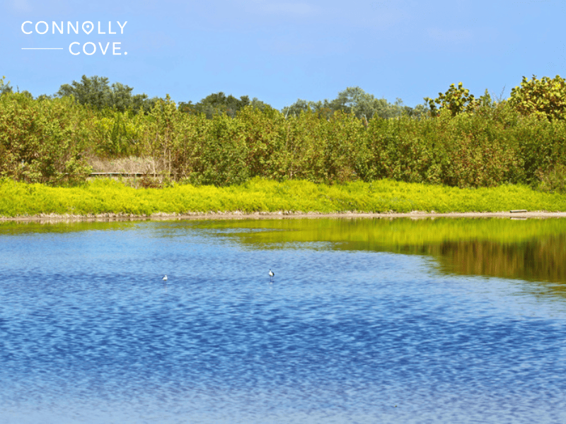 USA Travel Statistics | Everglades National Park