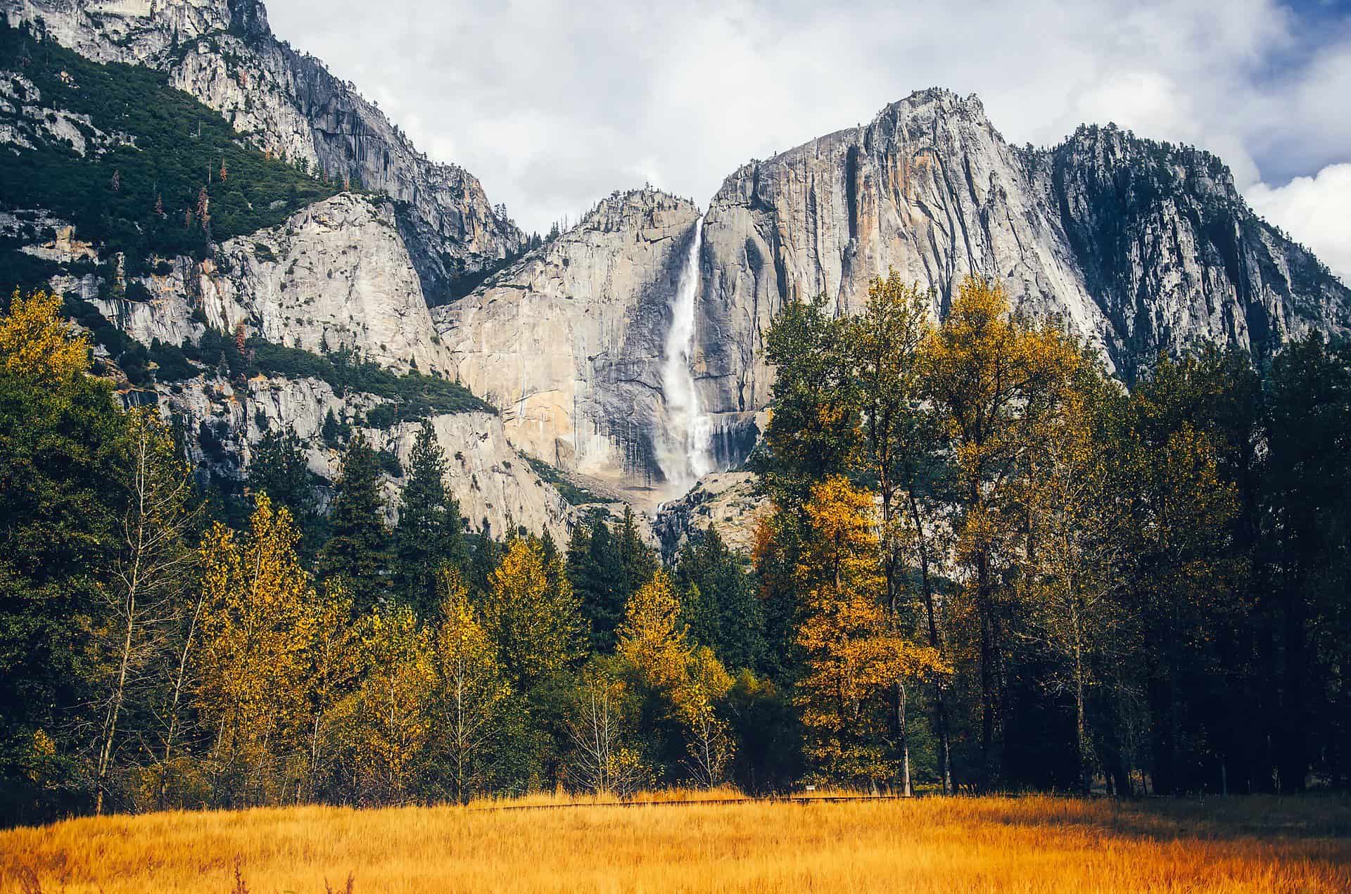 USA Travel Statistics | Yosemite National Park