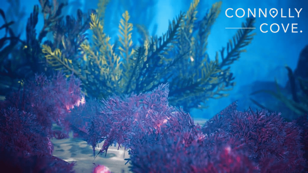 Underwater coral reef in the Maldives