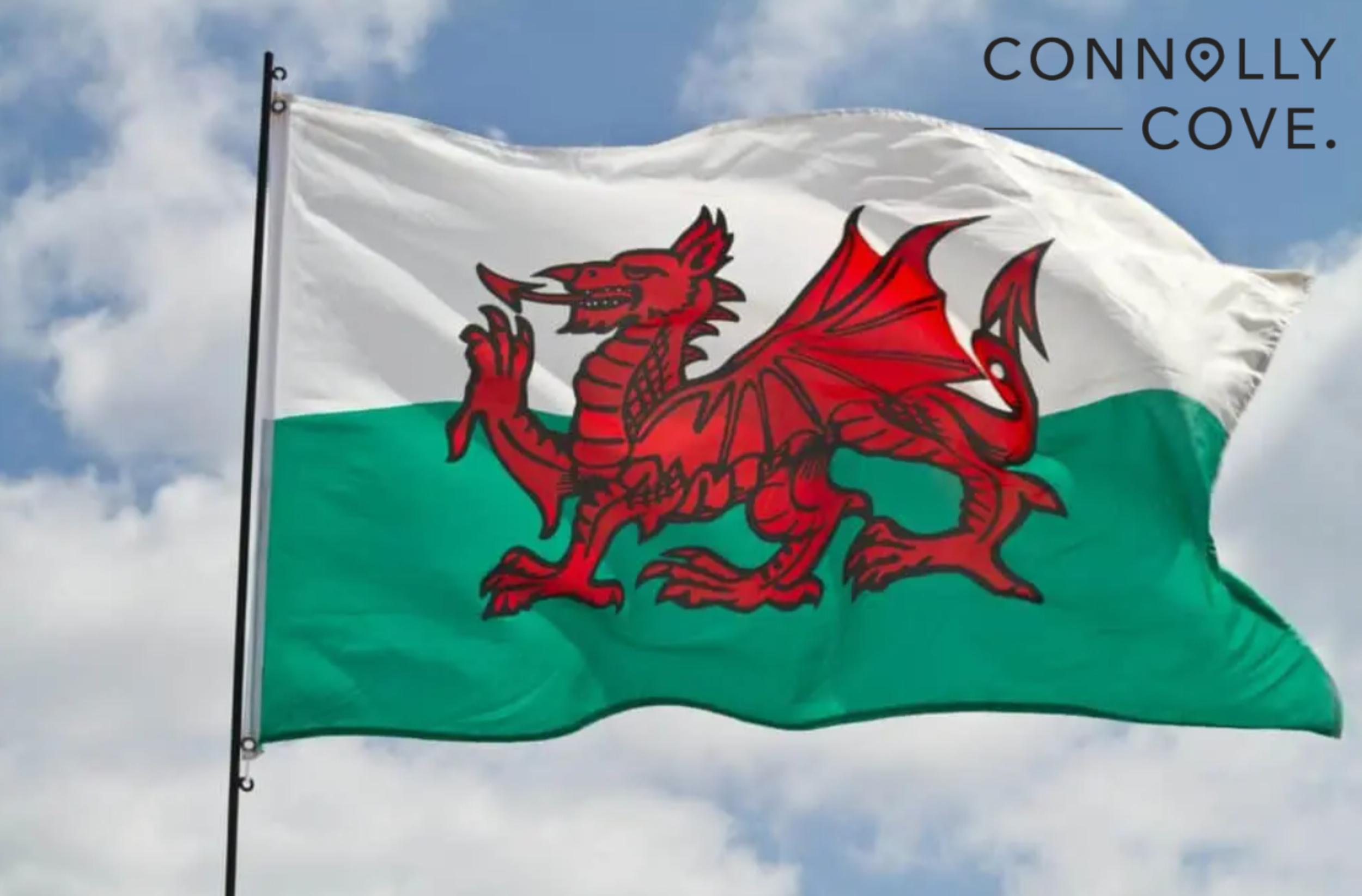 The Welsh Flag