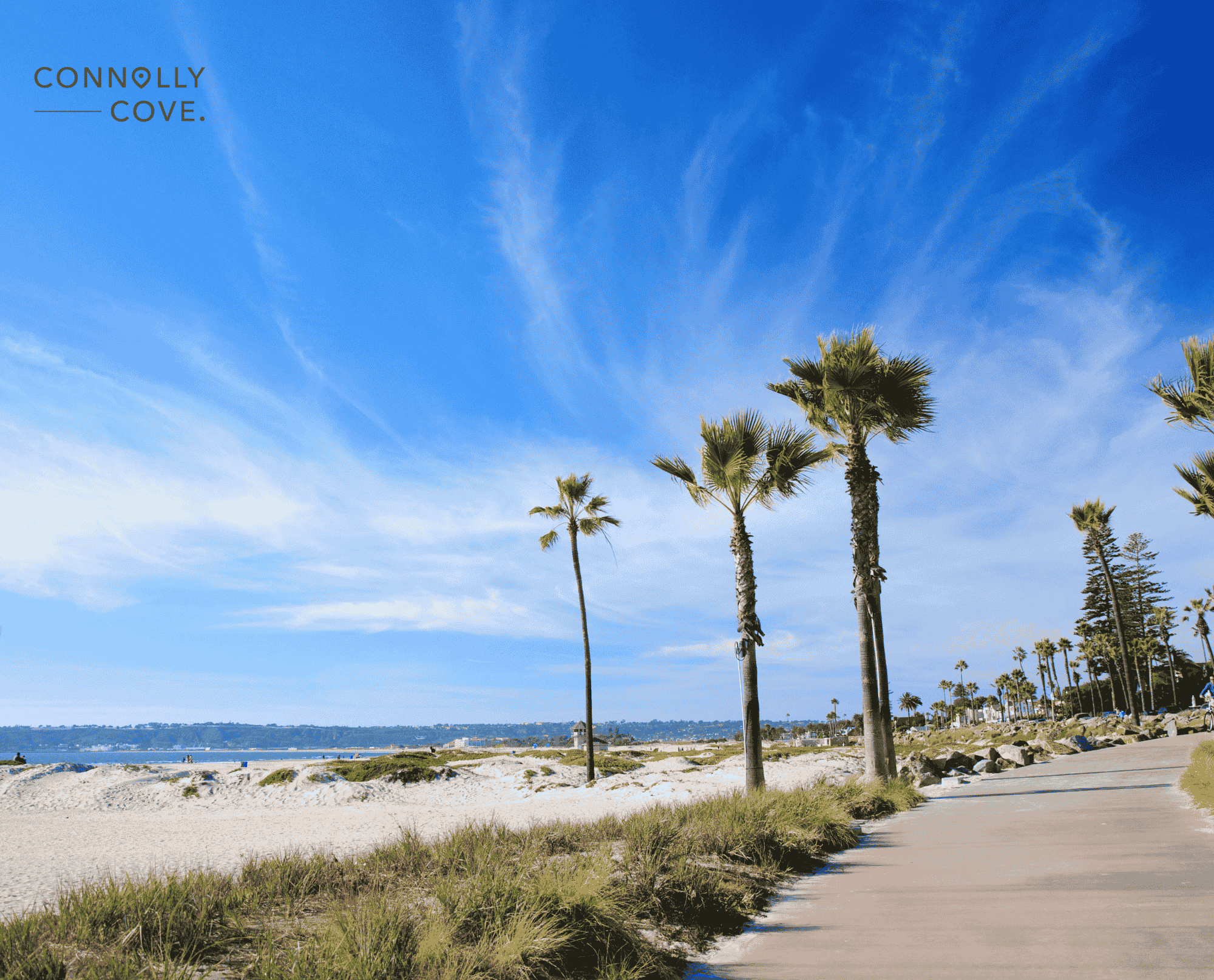 California Tourism Statistics: Forecasted Spend and Visitation from 2029 to 2024