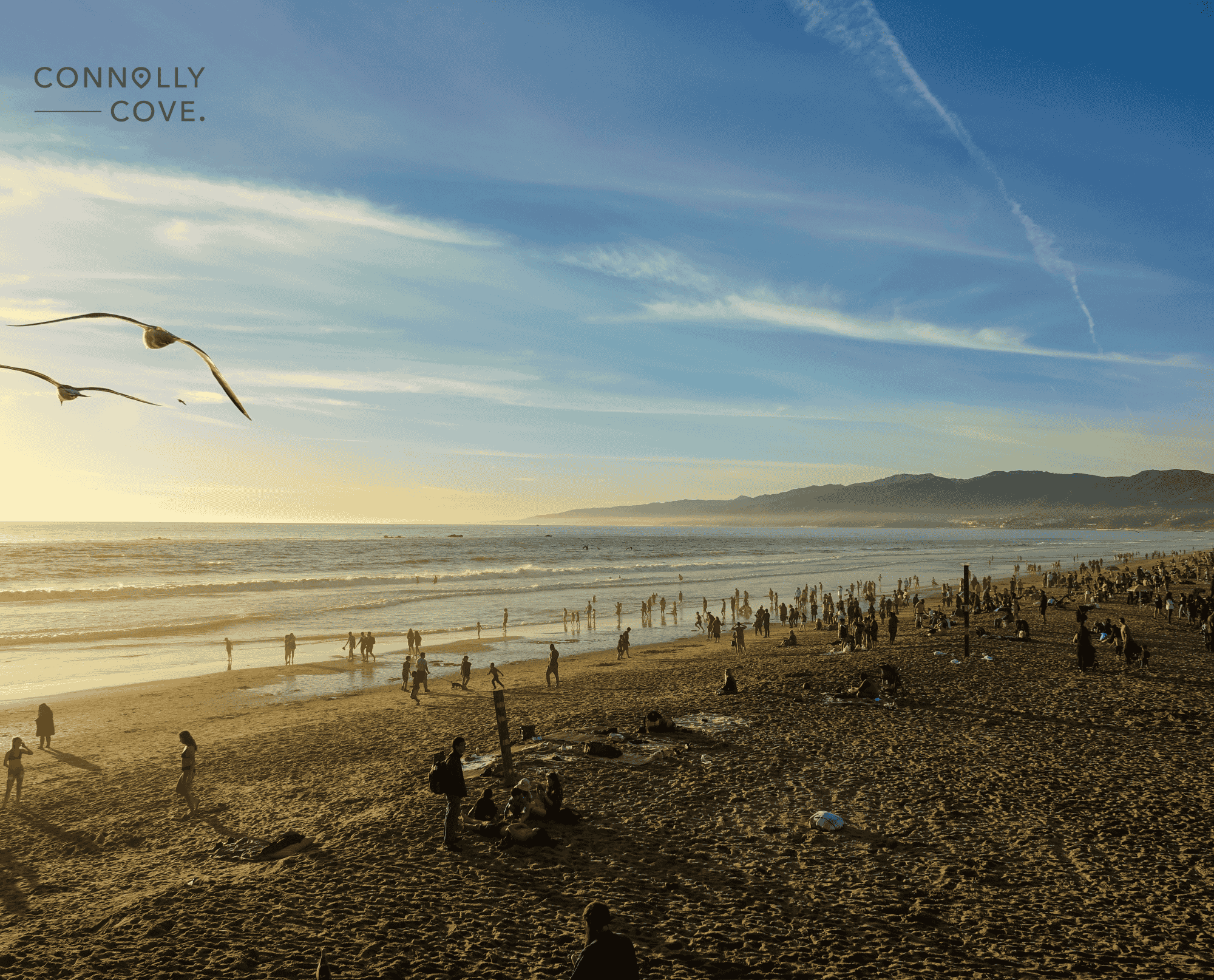 California Tourism Statistics: Forecasted Spend and Visitation from 2029 to 2024