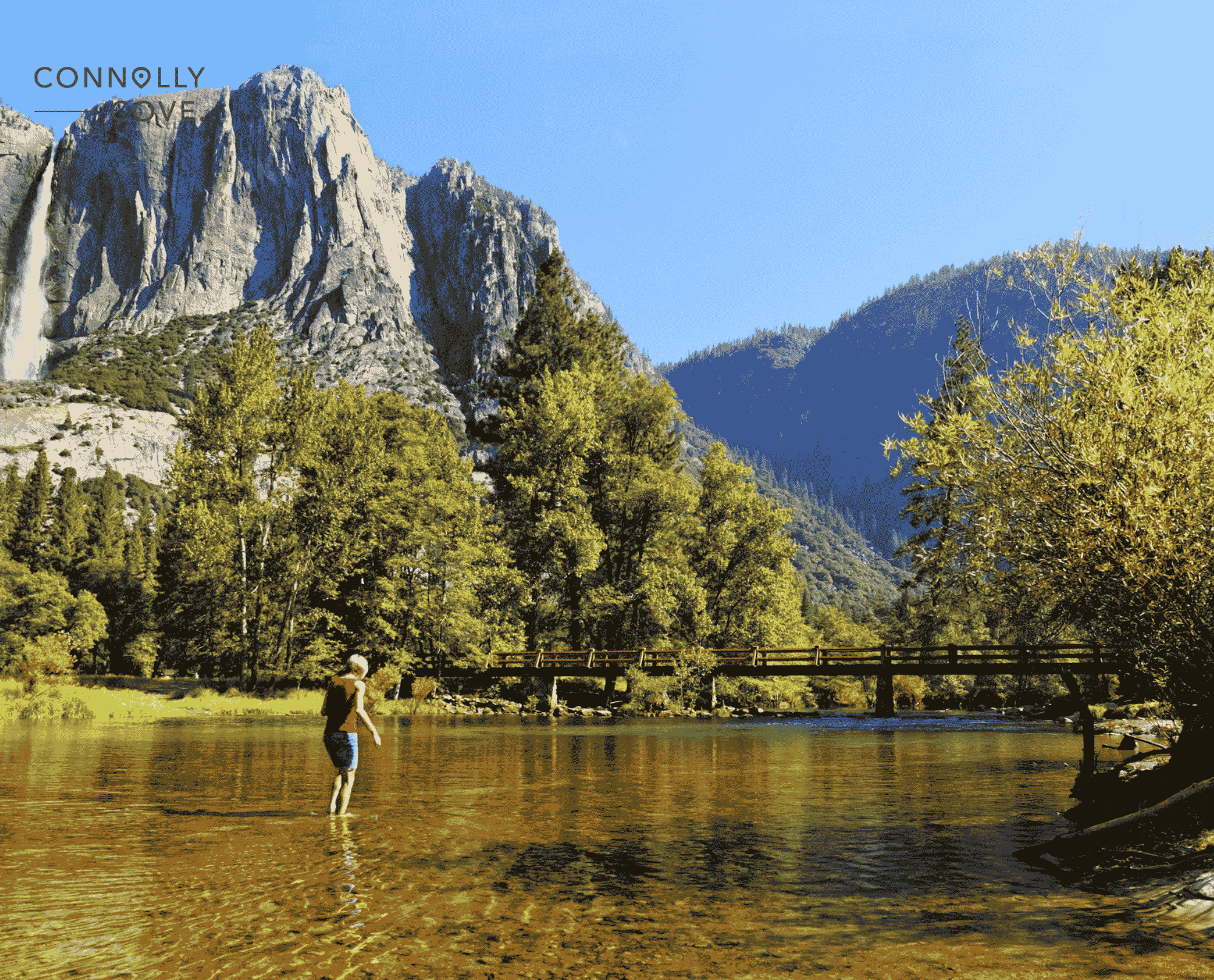 California Tourism Statistics: Forecasted Spend and Visitation from 2029 to 2024