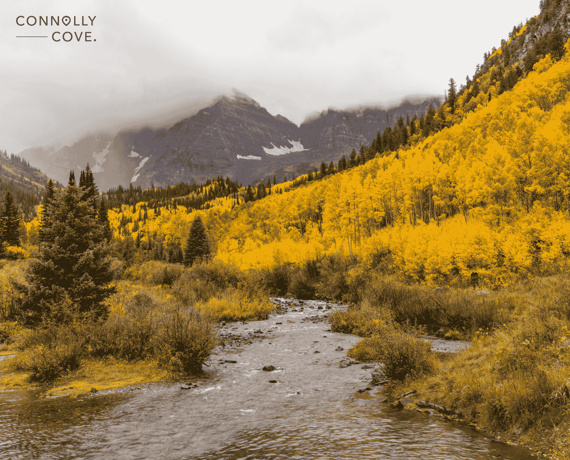 Analysing Colorado Tourism Statistics from 2019 to 2024: Exploring the Growth and Trends of the Industry