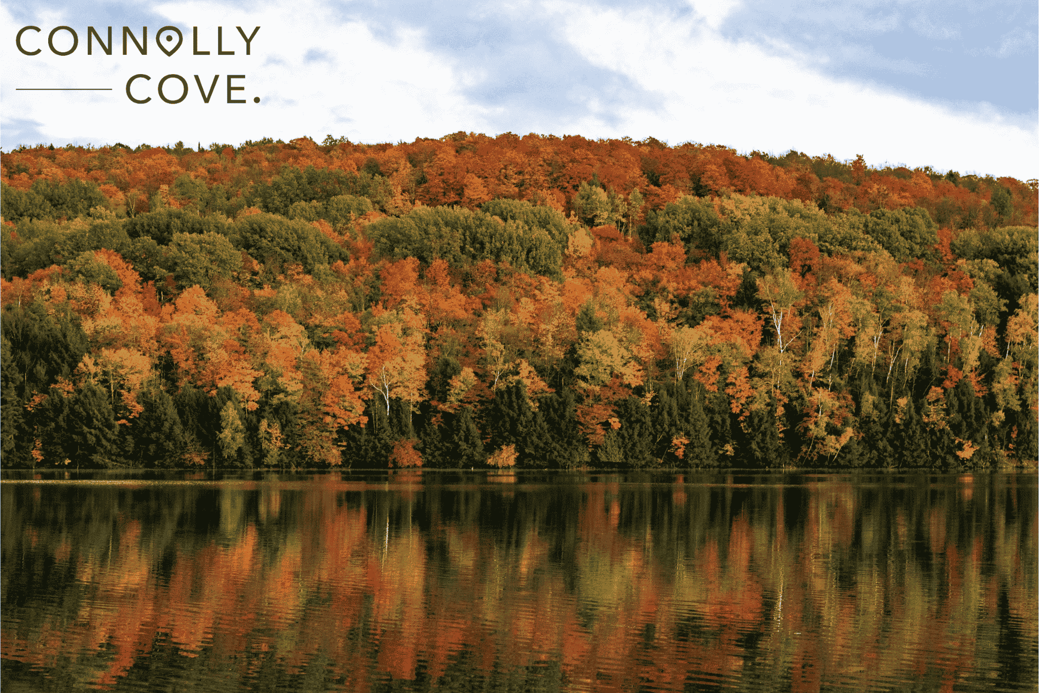 Vermont Vista 3 Logo