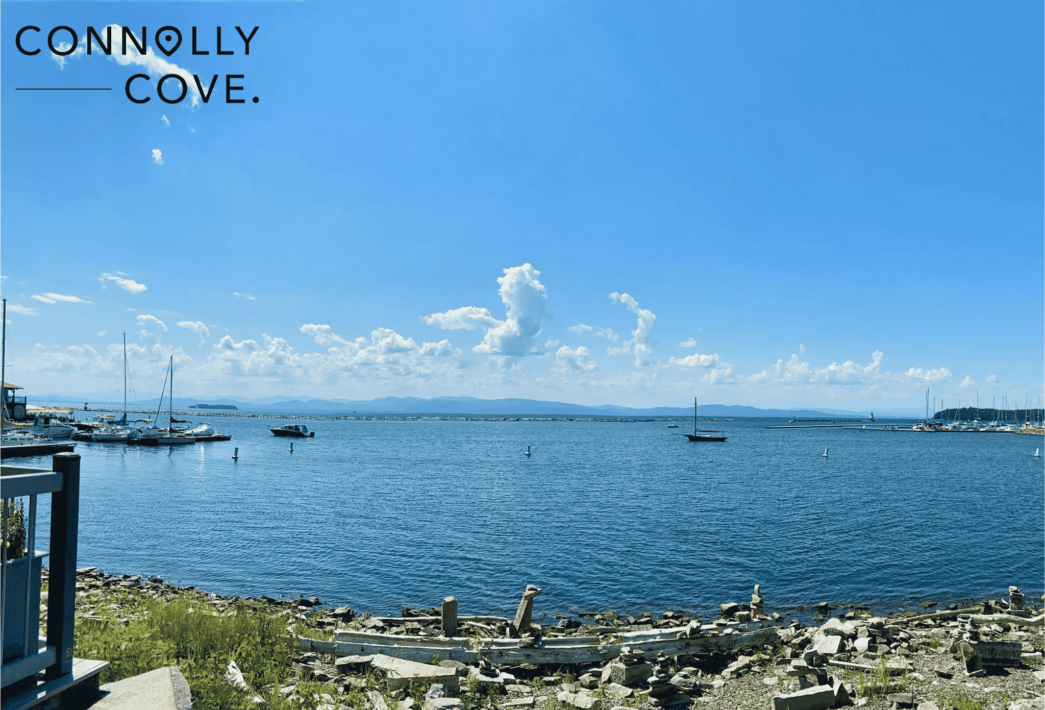 Vermont Water 1 Logo