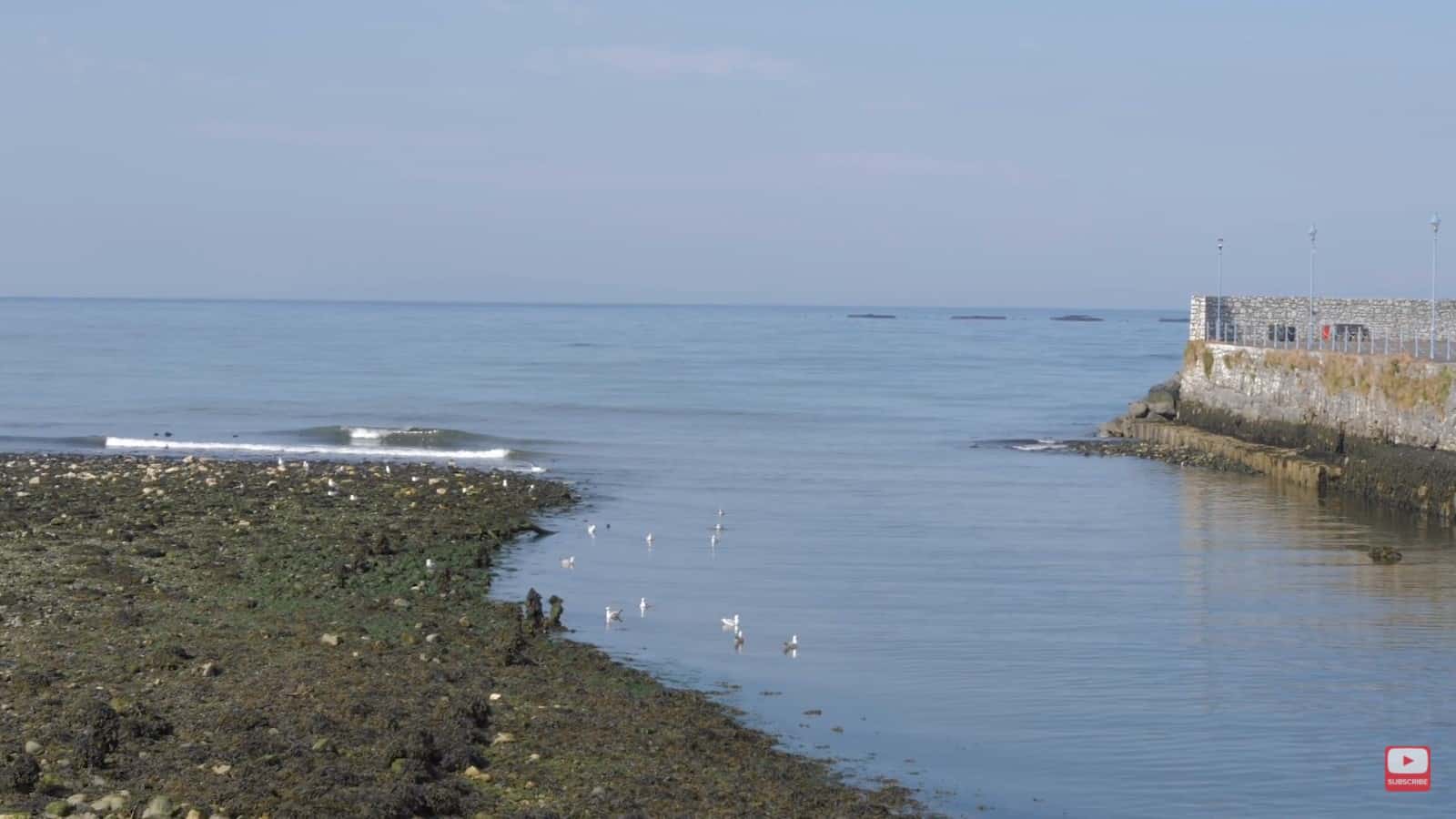 View at Glenarm