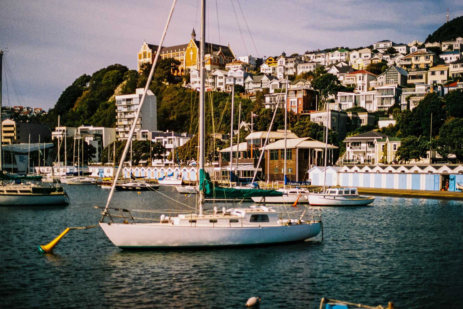 Wellington, New Zealand- coastline, seafront houses