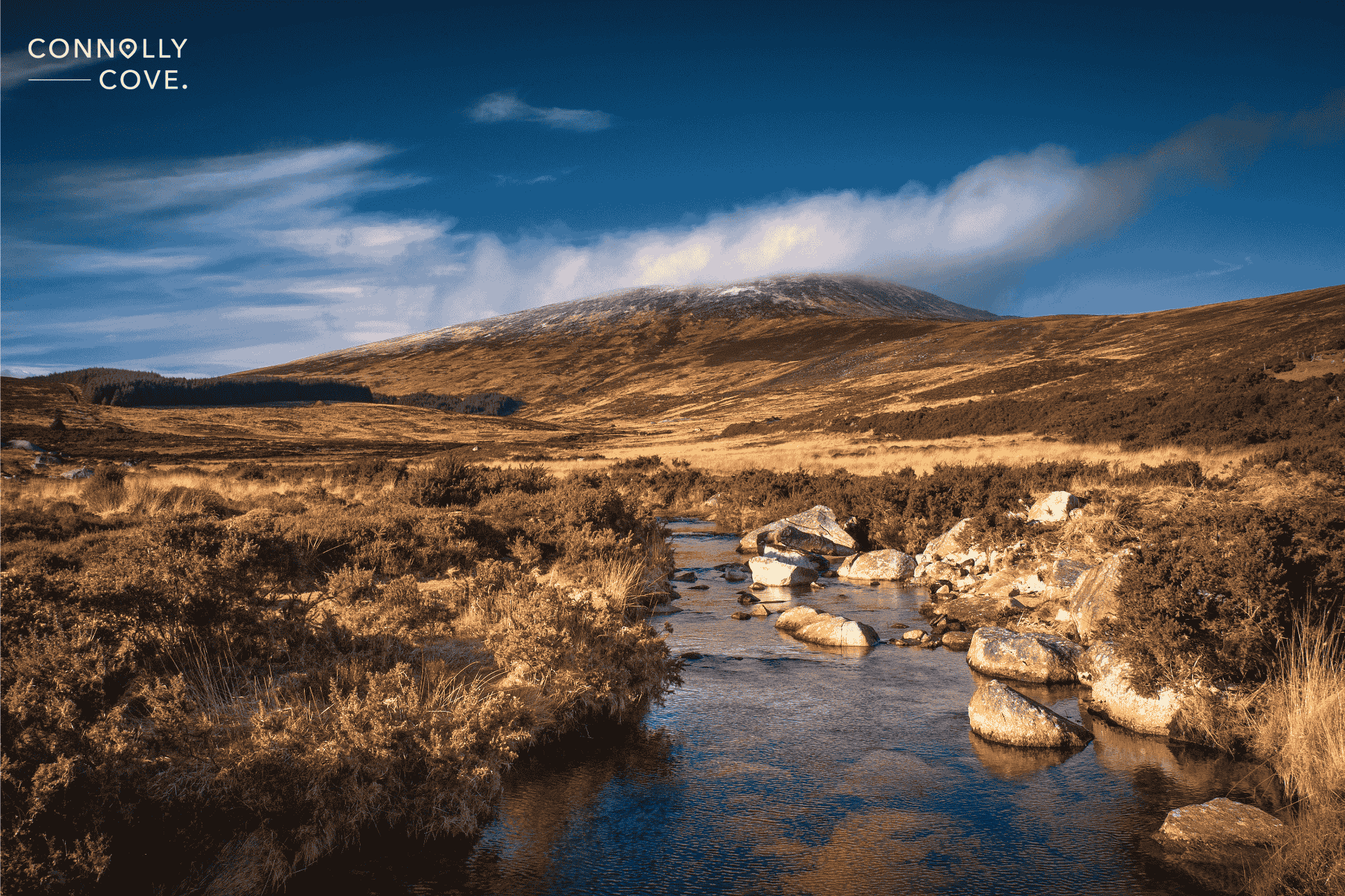 Wicklow Mountains National Park